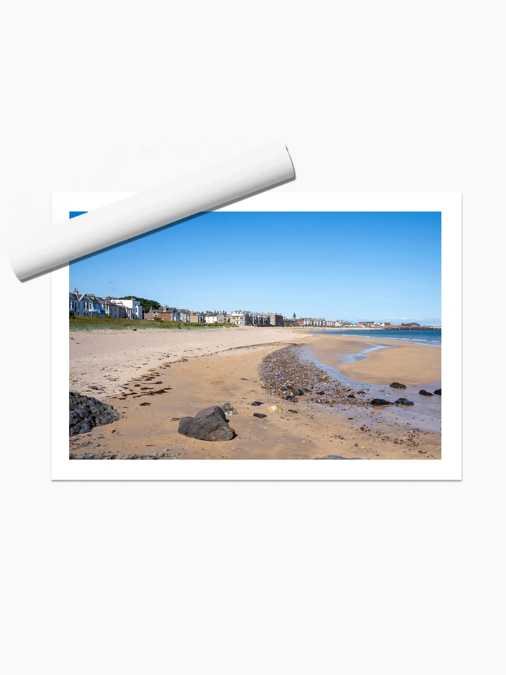 print template copy 2.webp