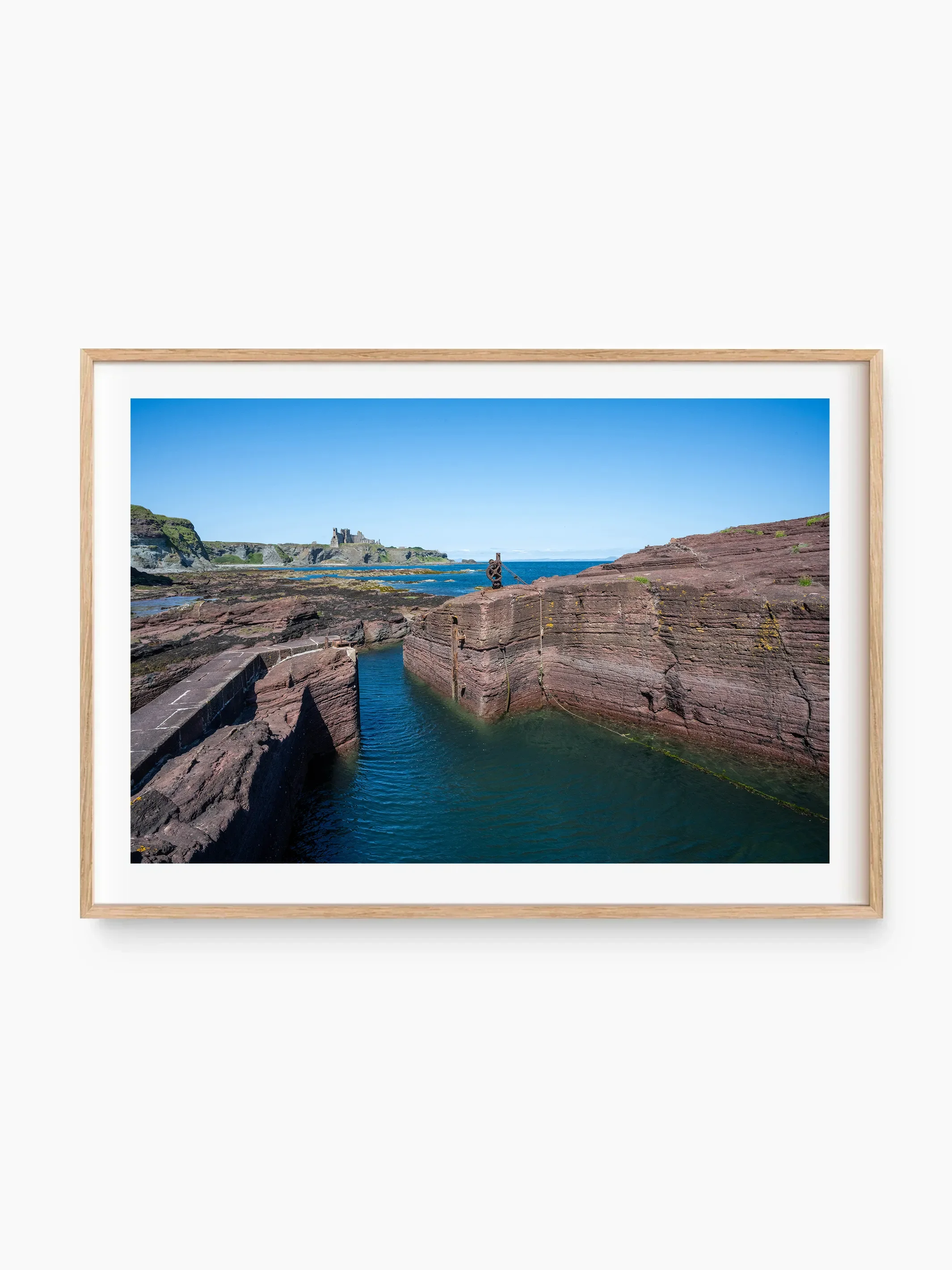 beech_template copy 2.webp