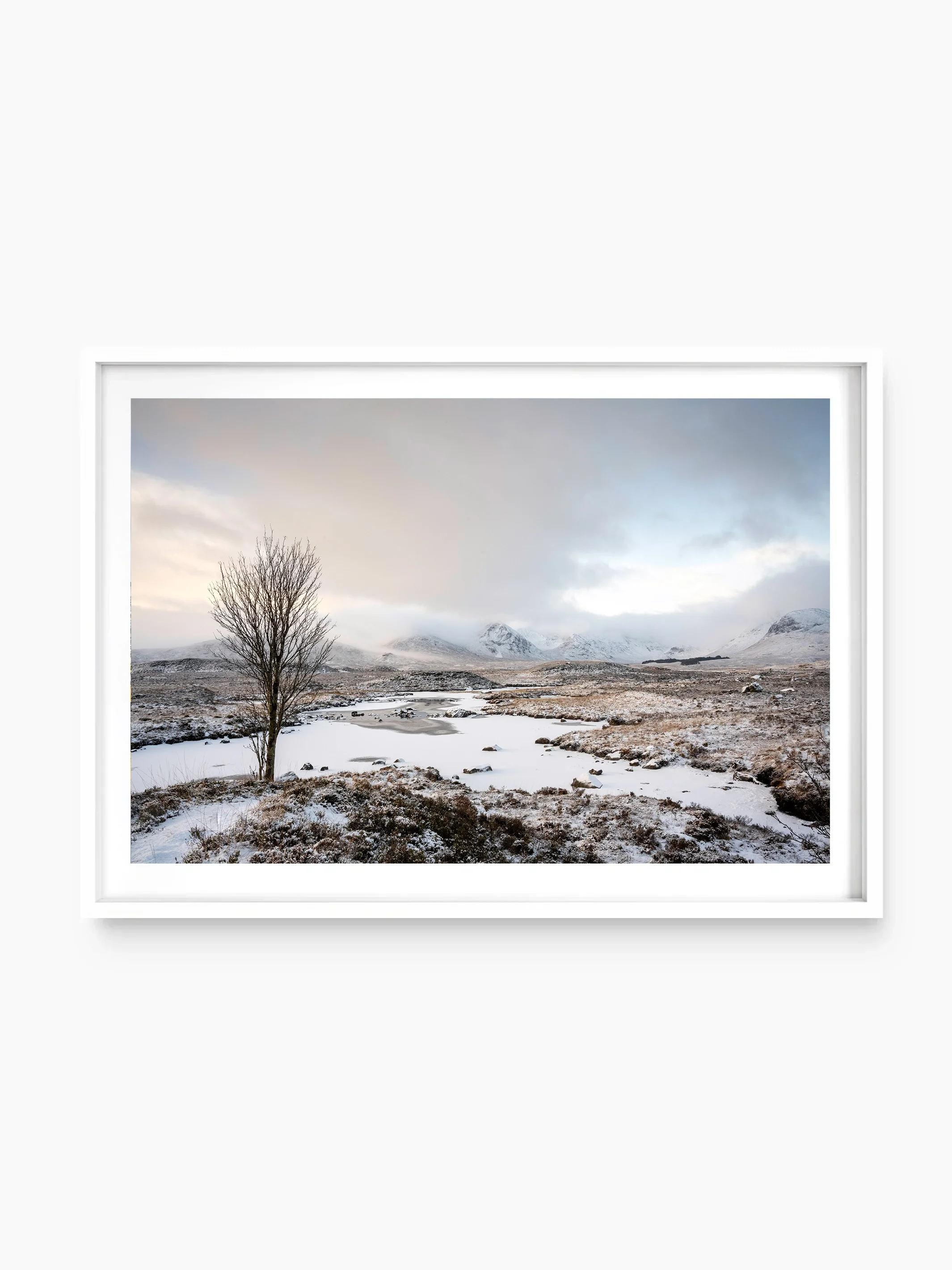 white_template copy.webp