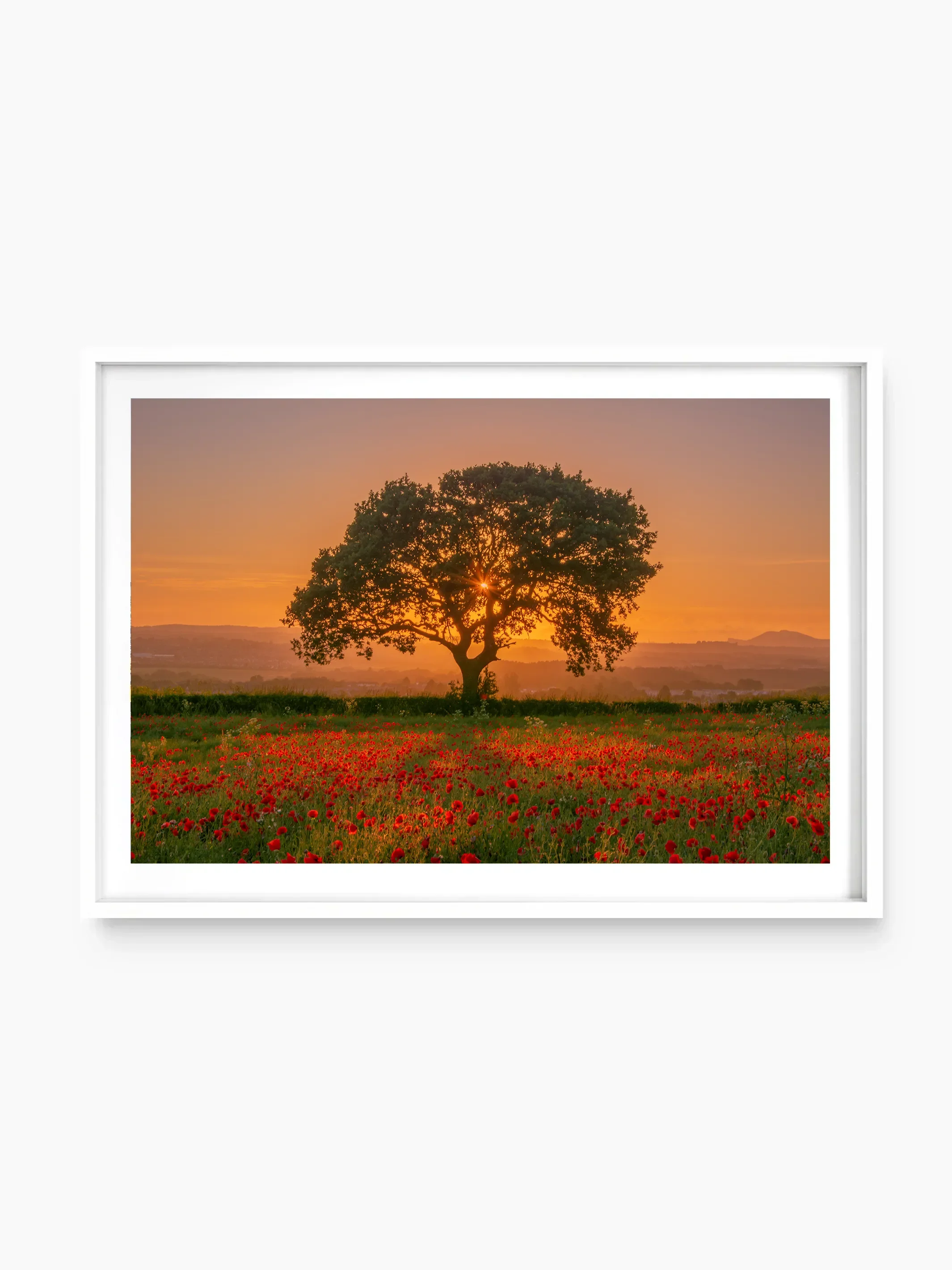 white_template copy.webp