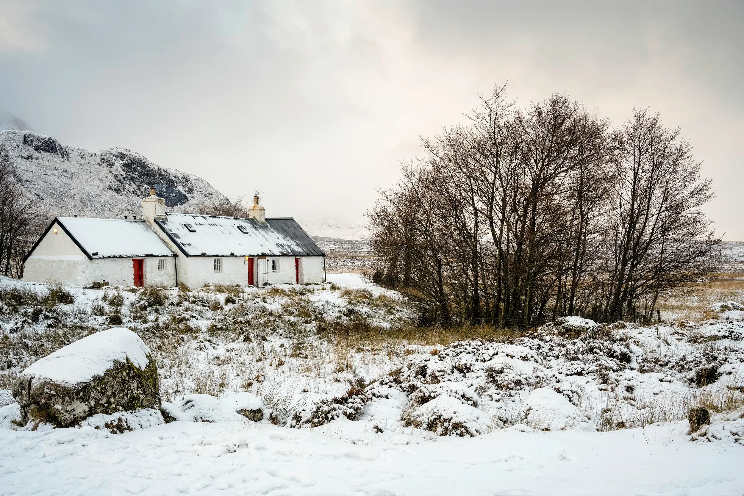 20241122-DSC_5561-Edit copy 2.webp