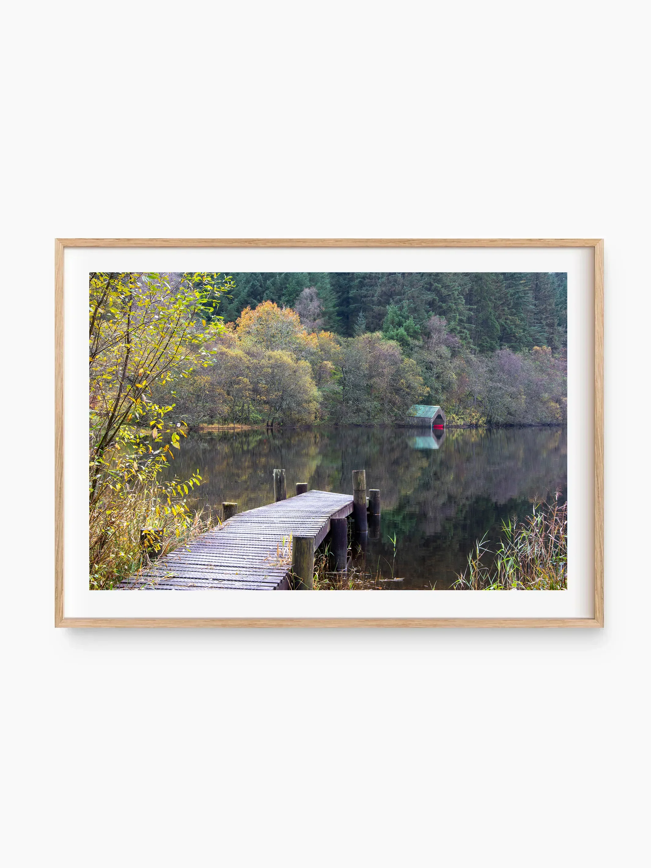 beech_template copy.webp