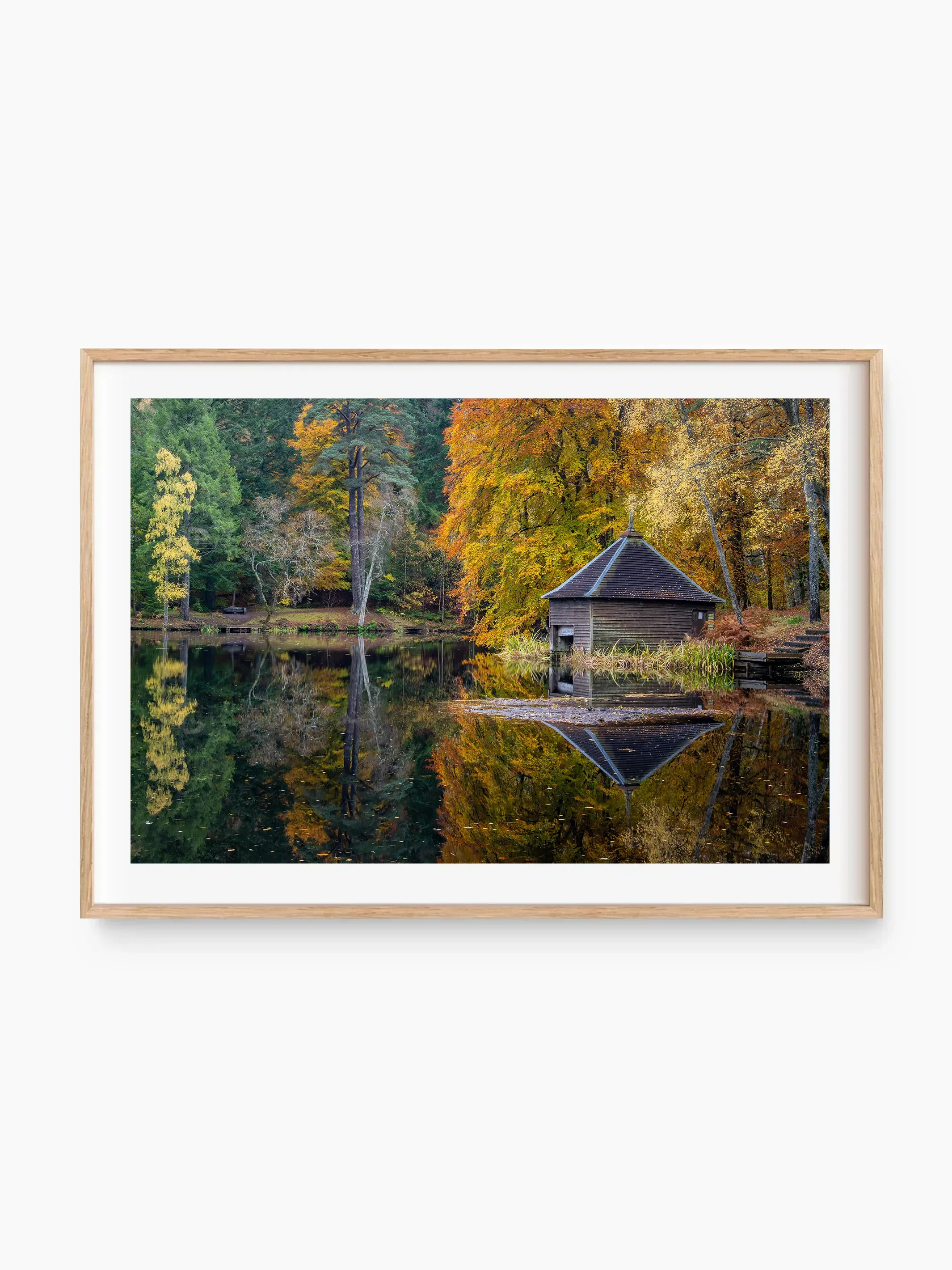 beech_template copy.webp