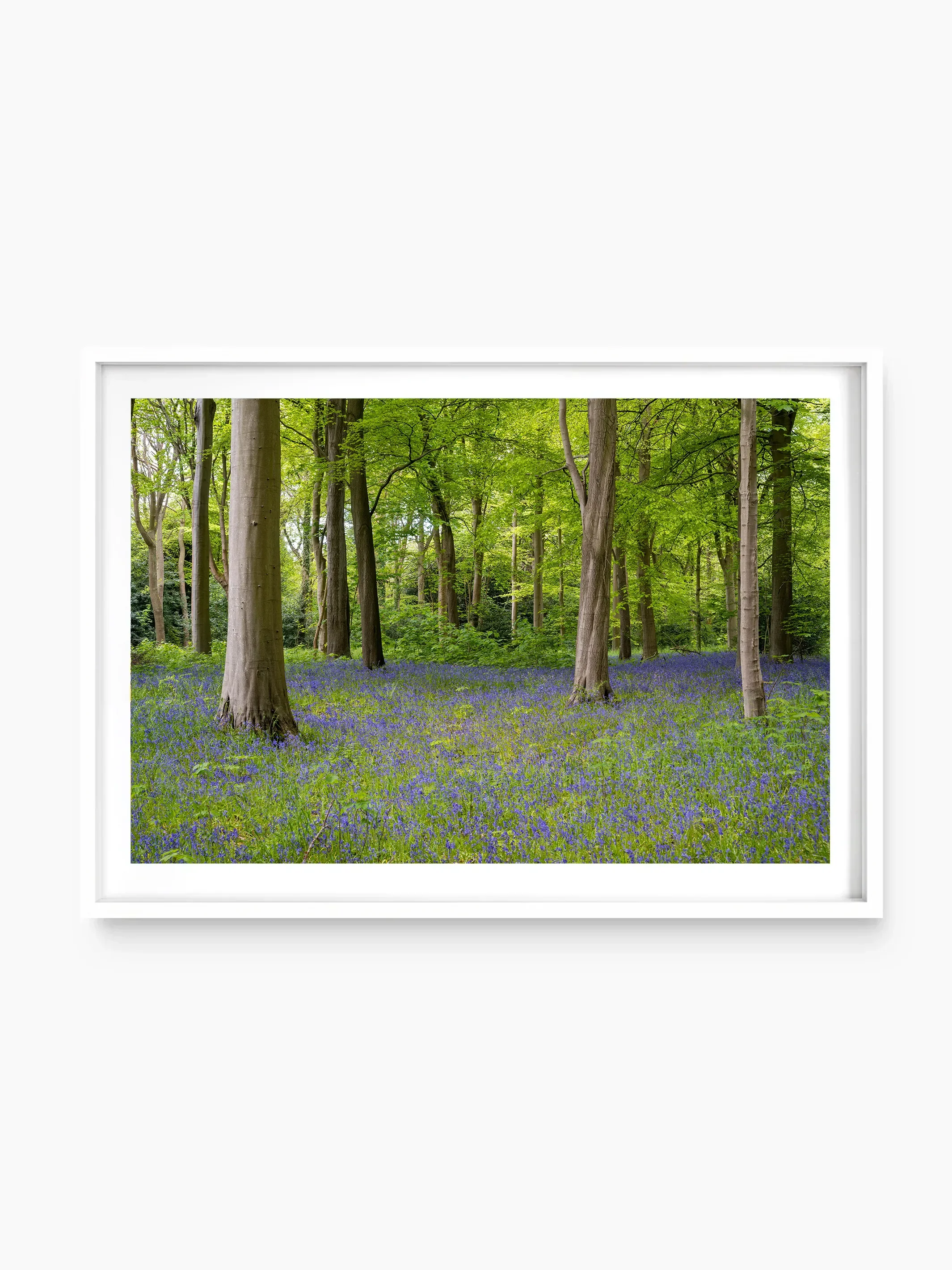 Dalkeith Country Park