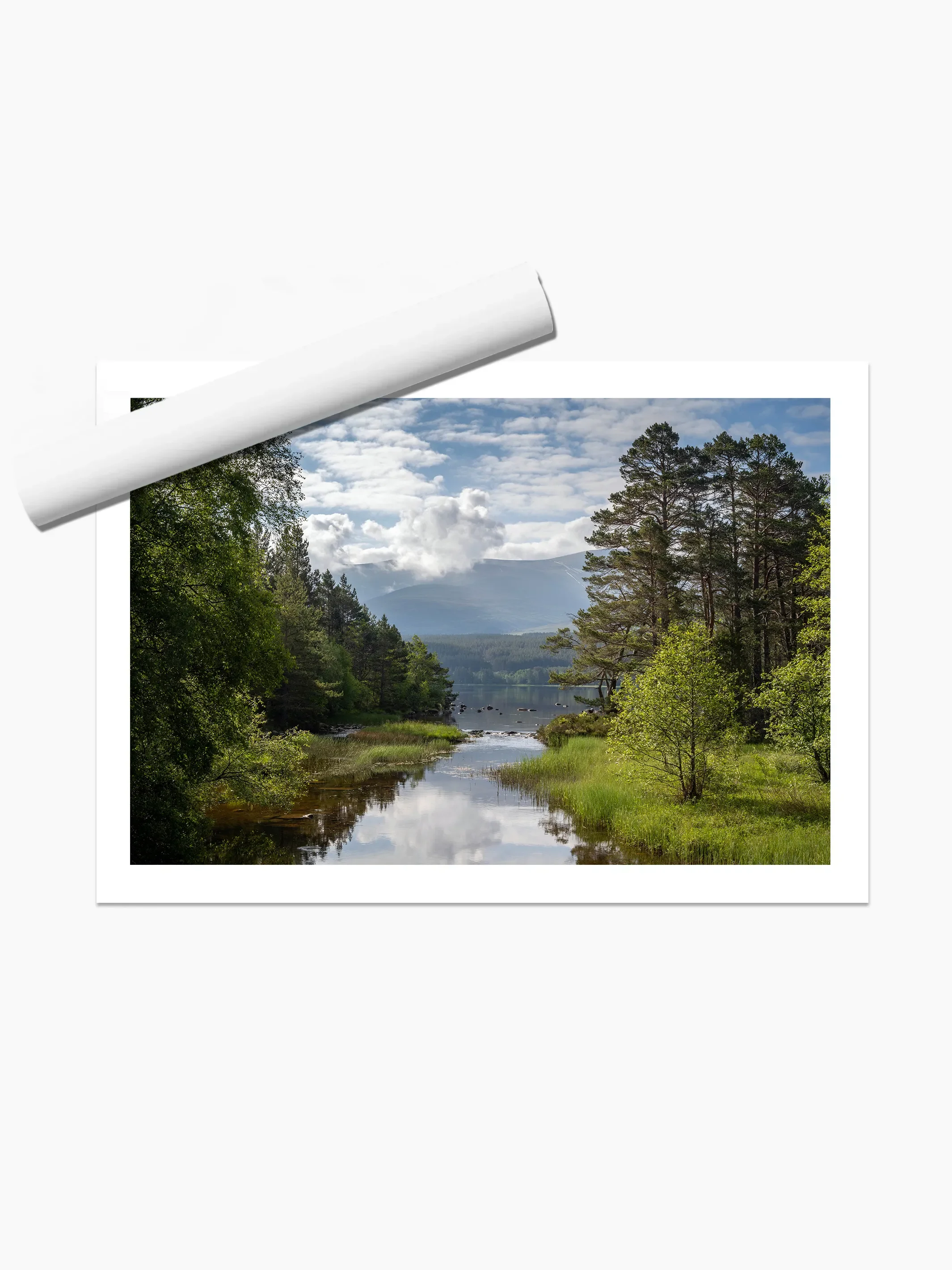 print template copy.webp