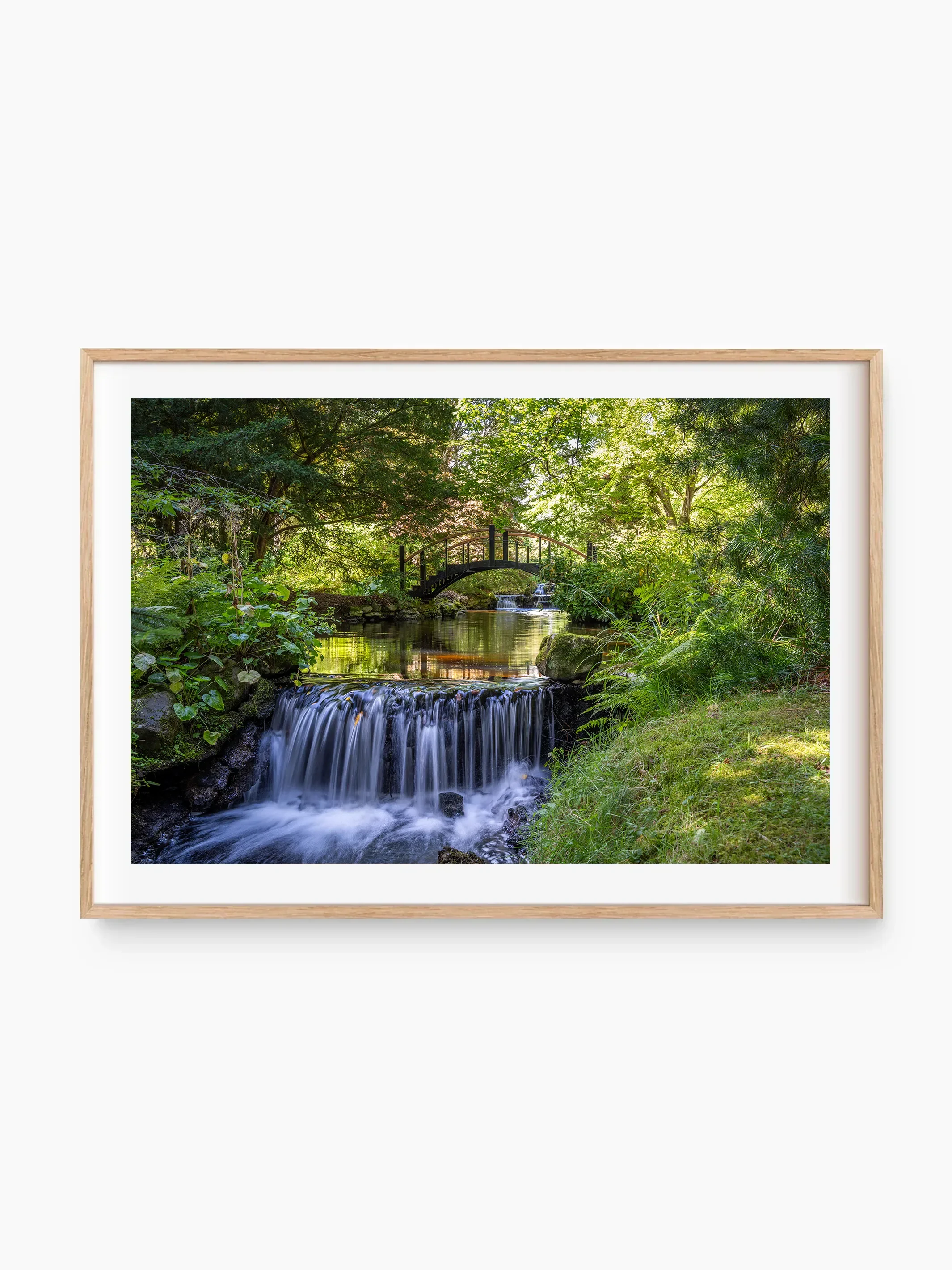 beech_template copy.webp