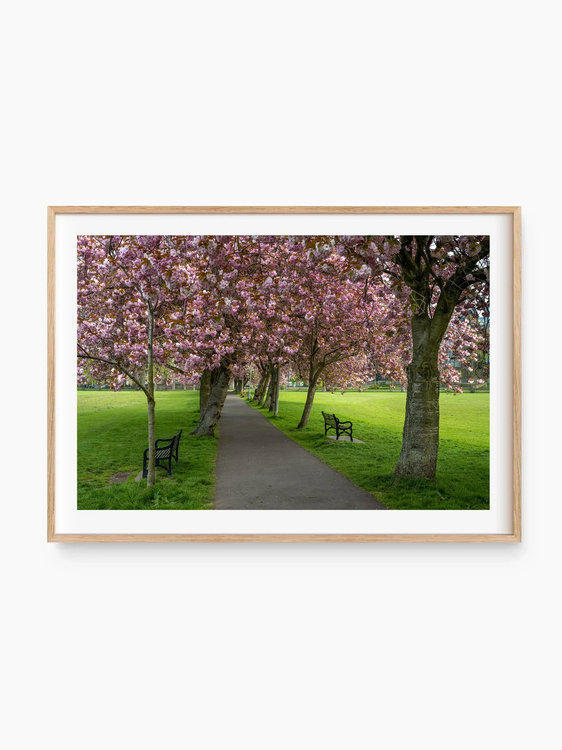 beech_template copy.webp