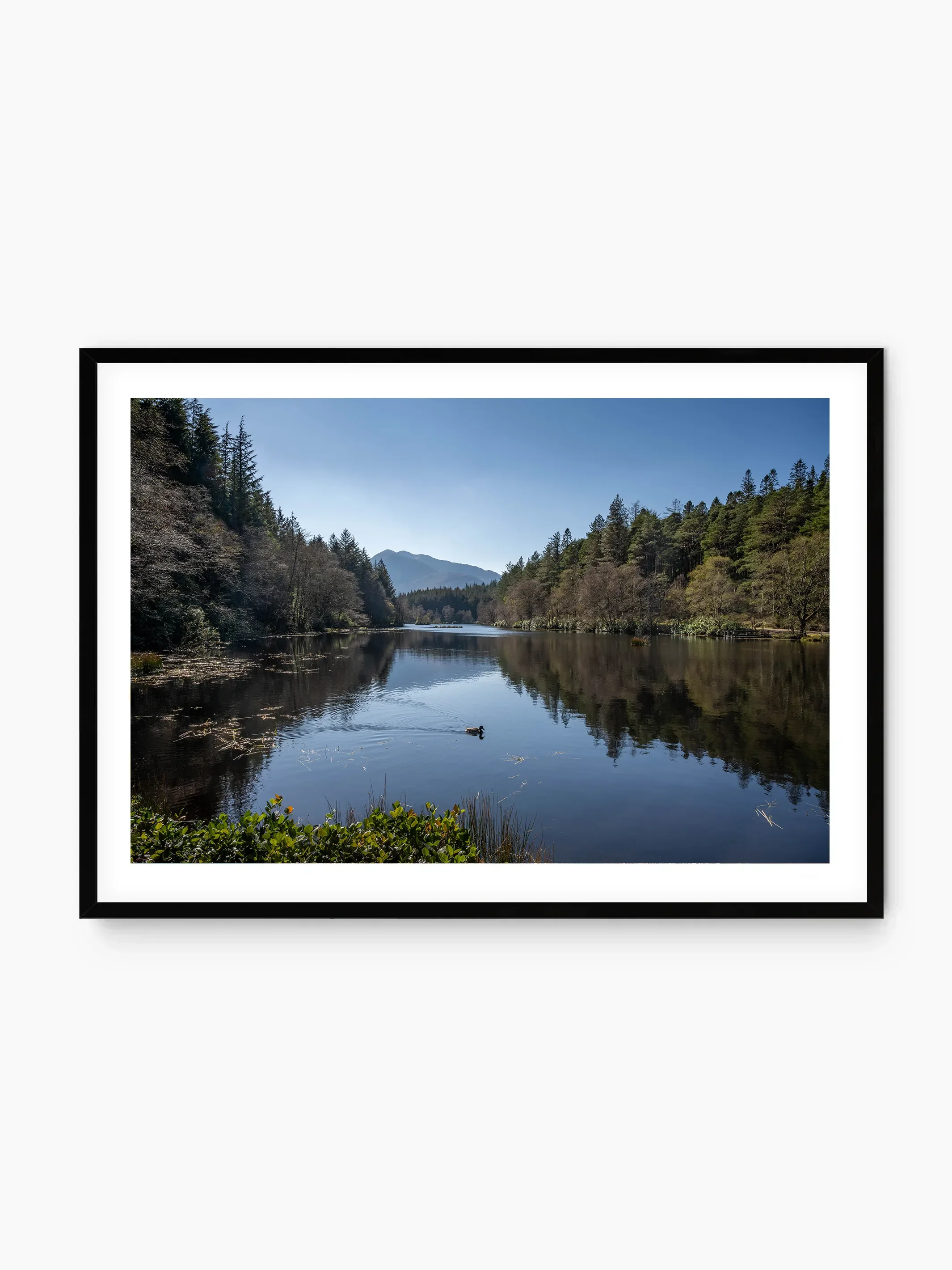 black_template copy.webp