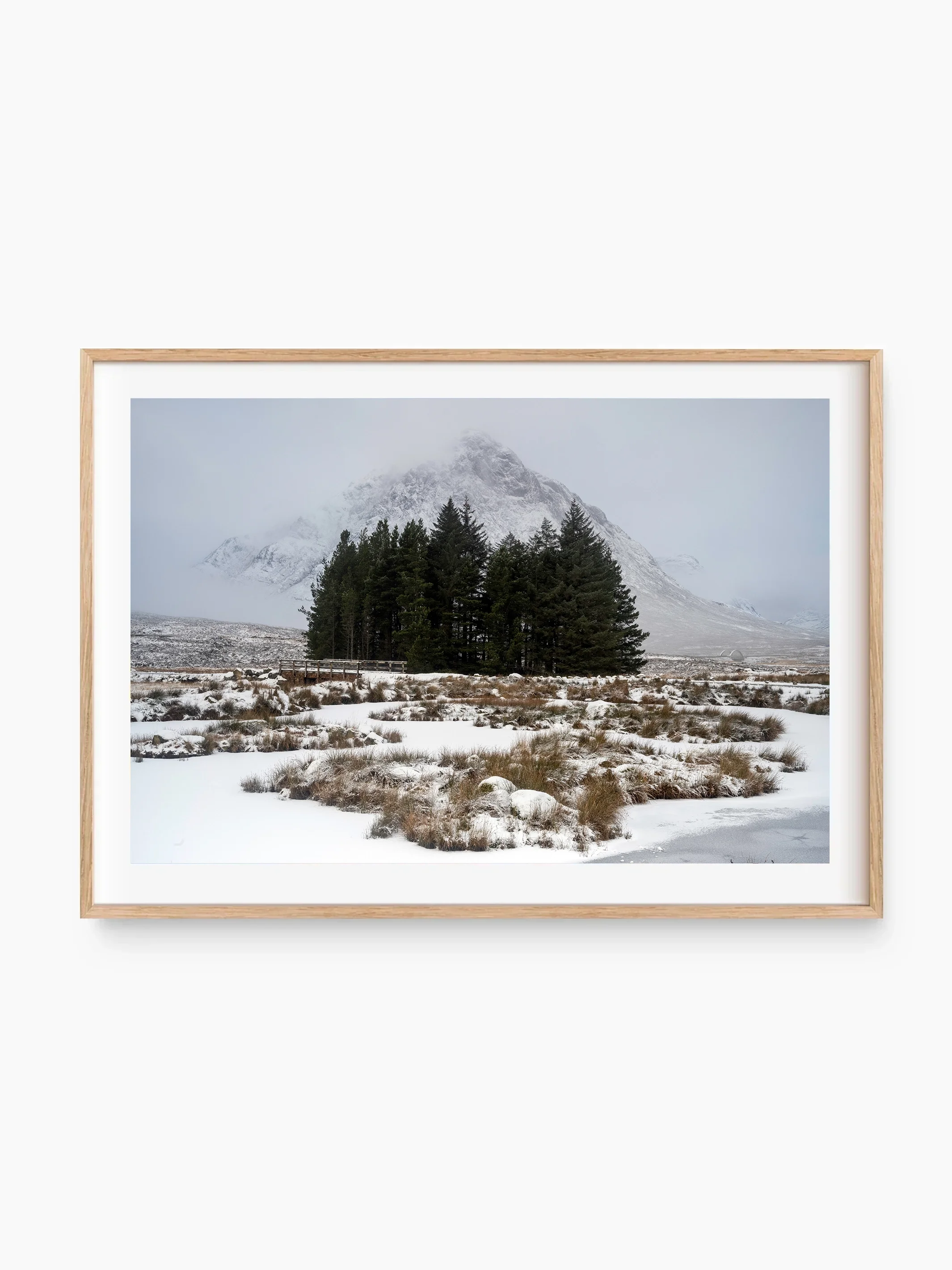 beech_template copy.webp