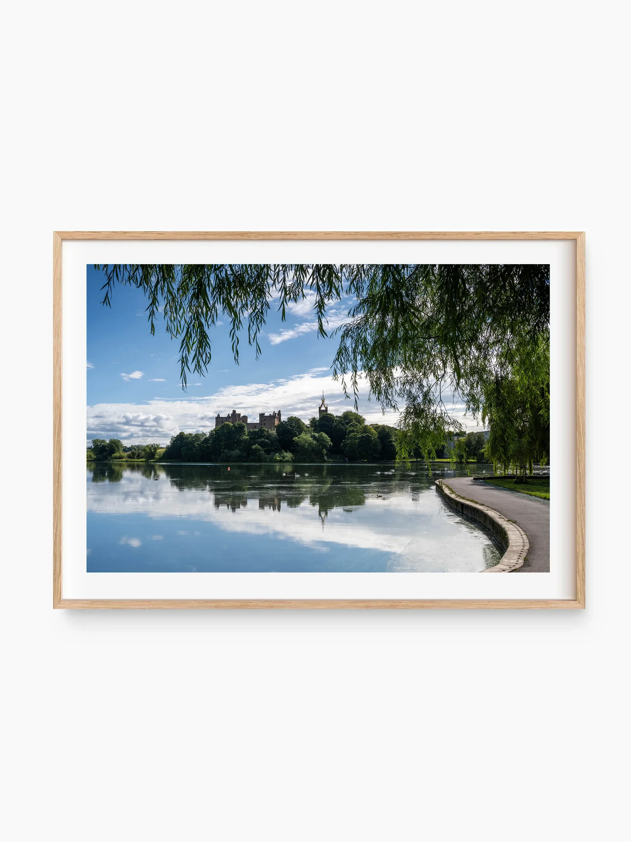 beech_template copy.webp