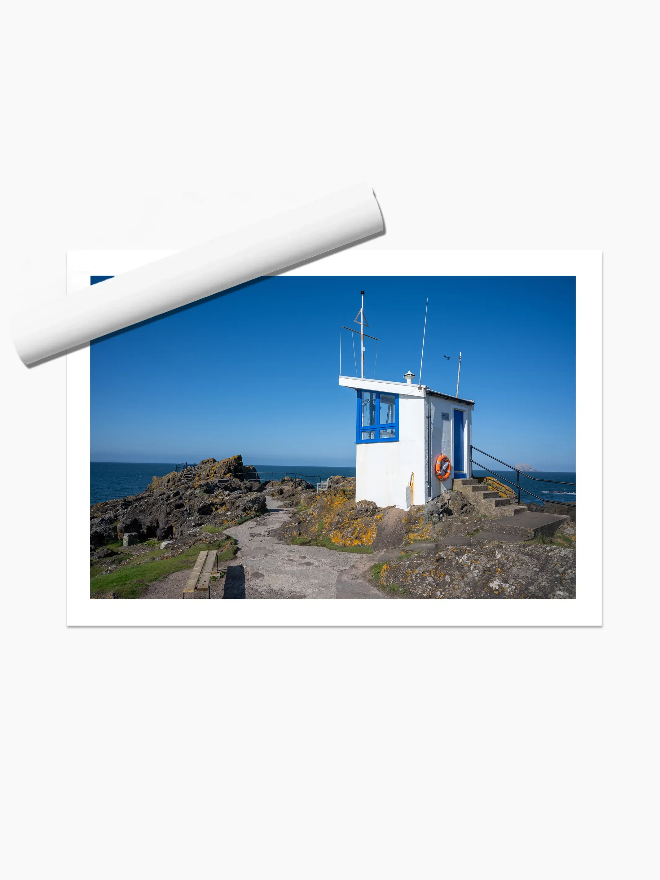 print template copy.webp