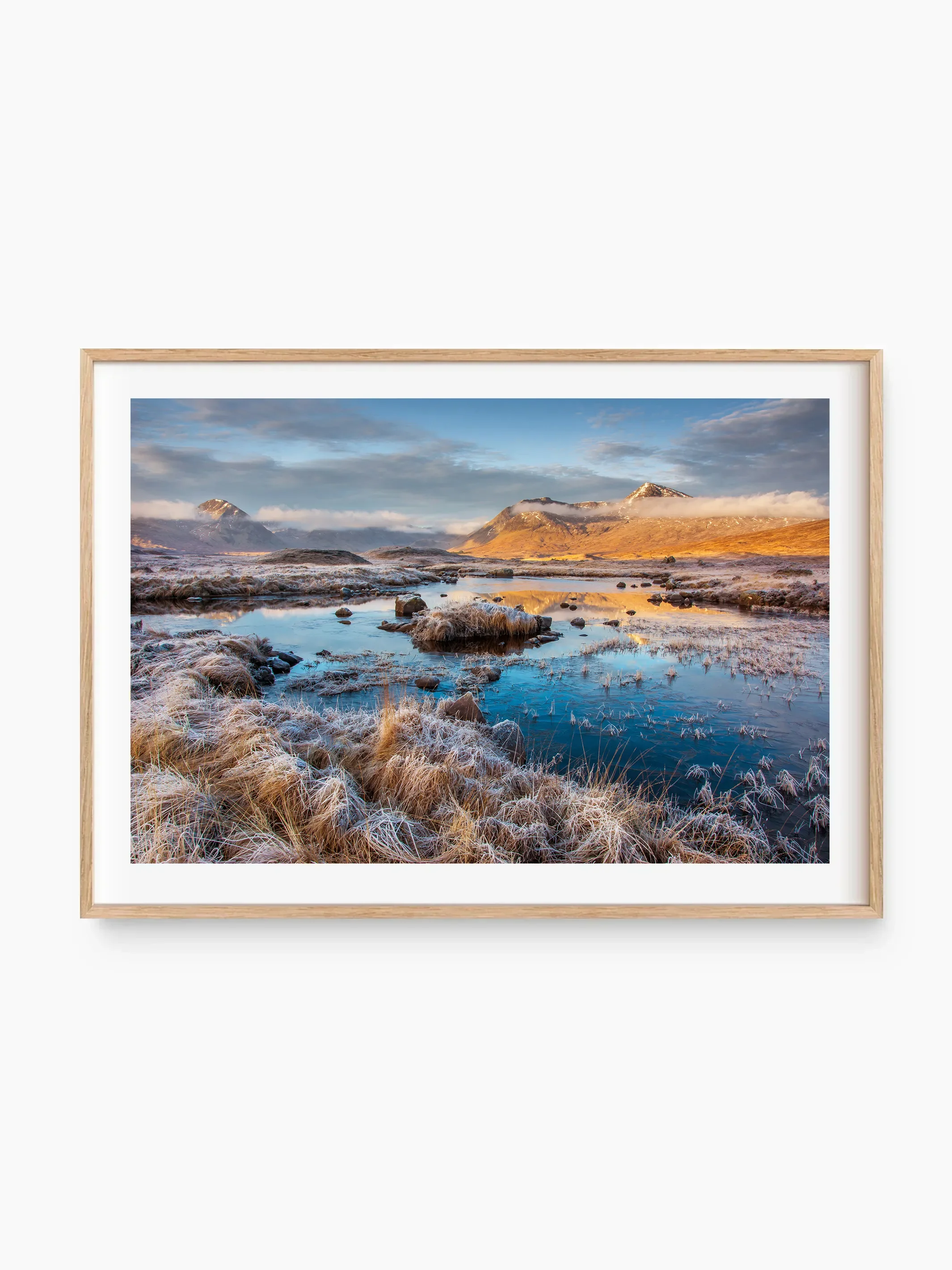 beech_template copy.webp