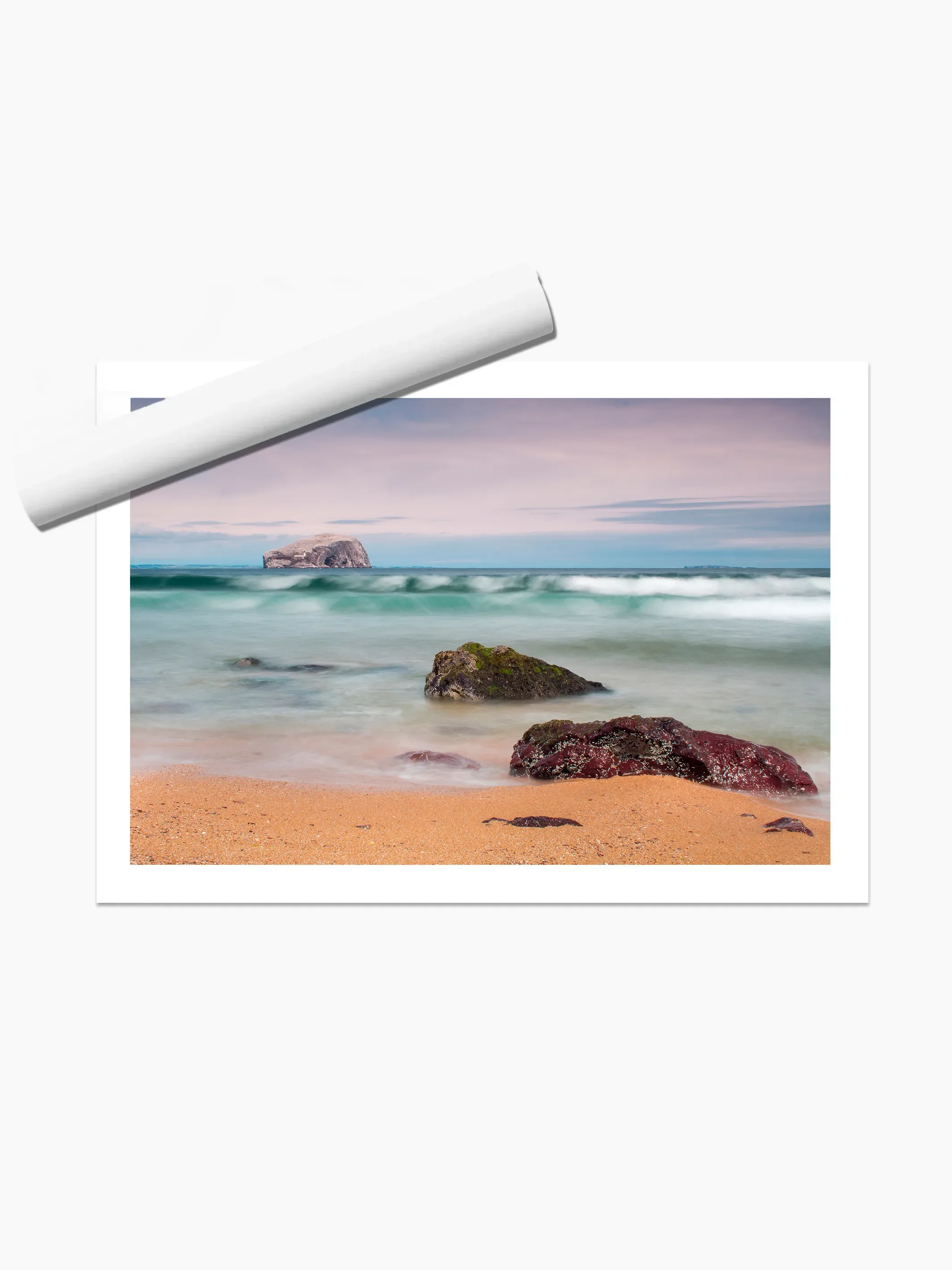 print template copy.webp