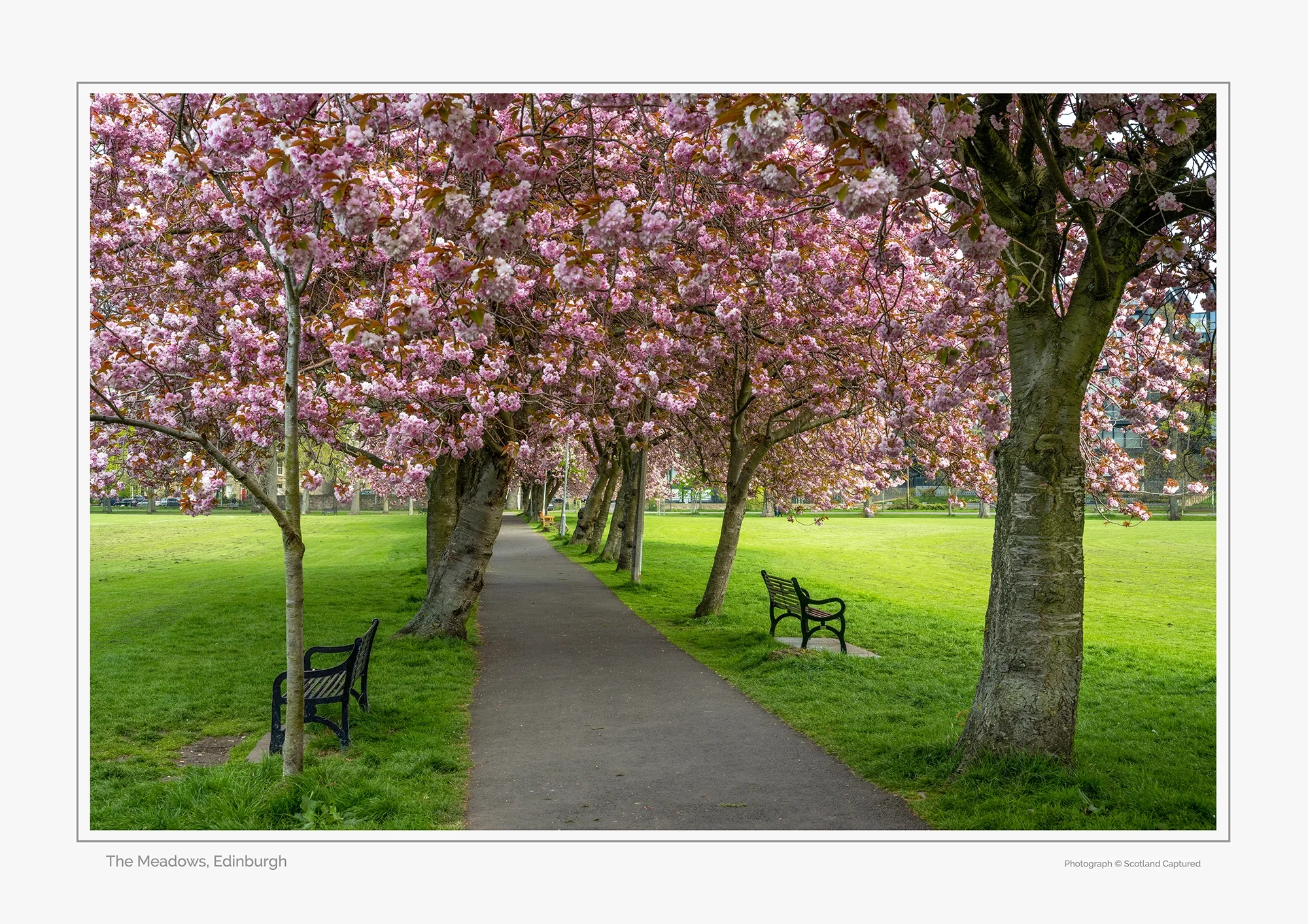 The Meadows, Edinburgh