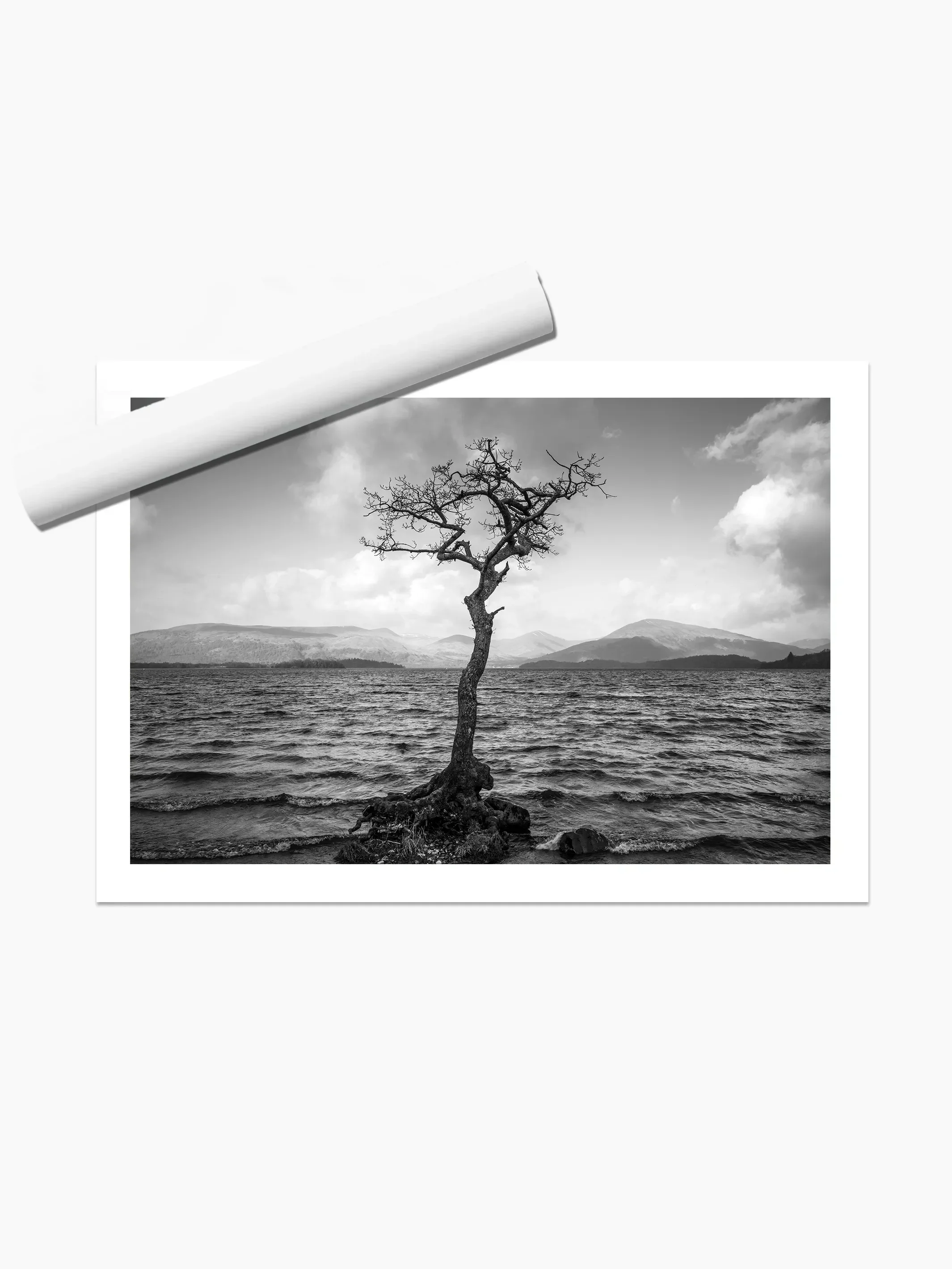 print template copy.webp