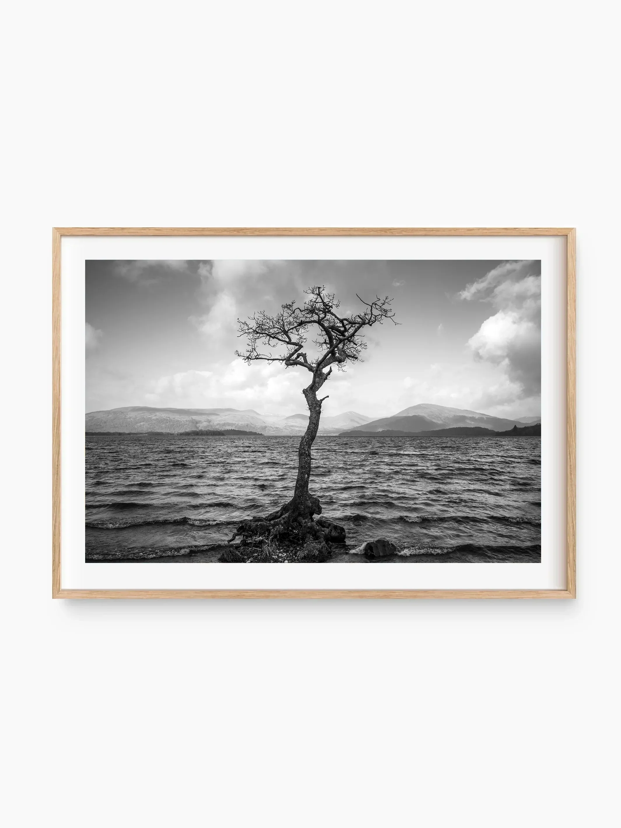 beech_template copy.webp