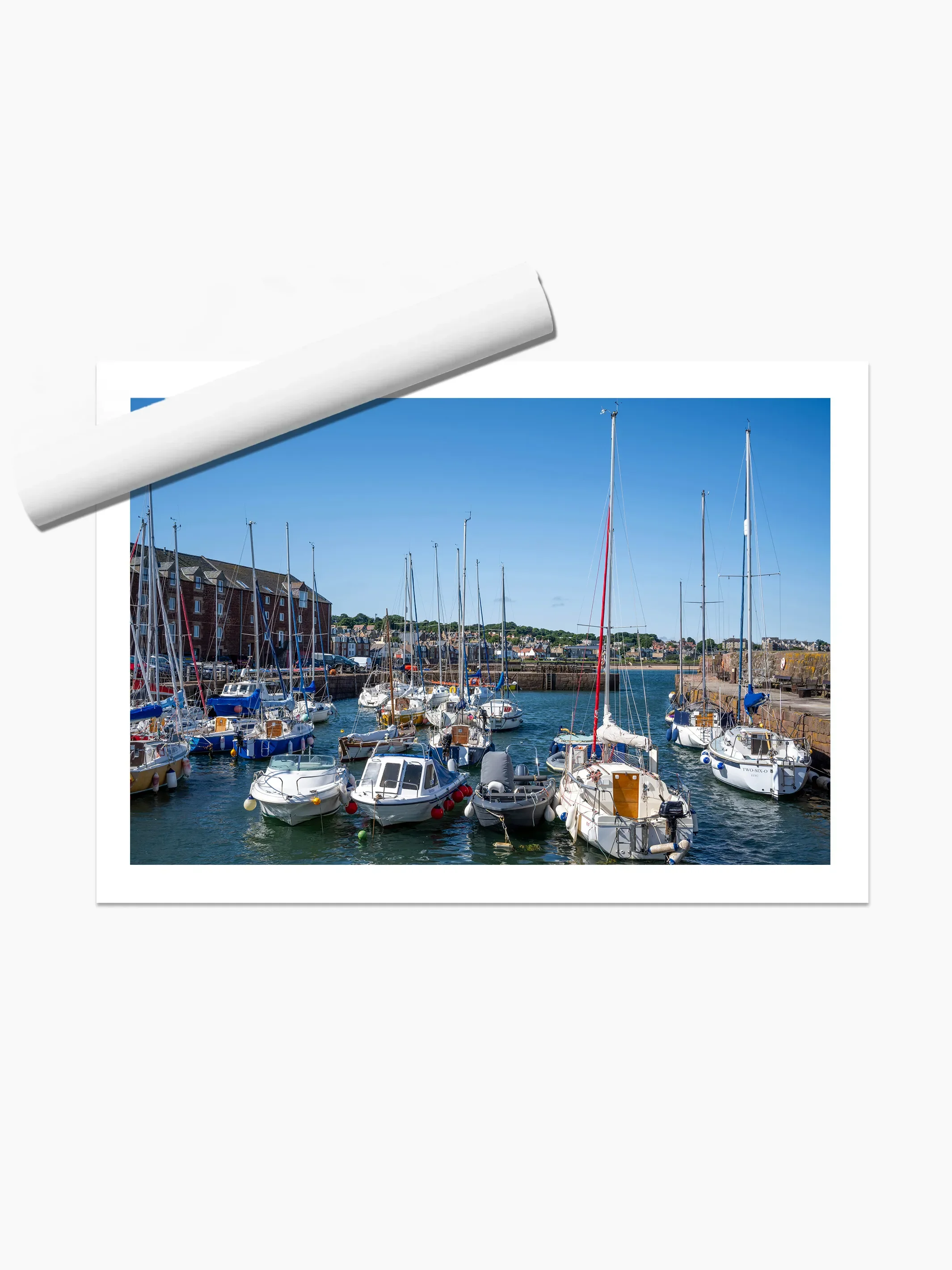 print template copy 2.webp