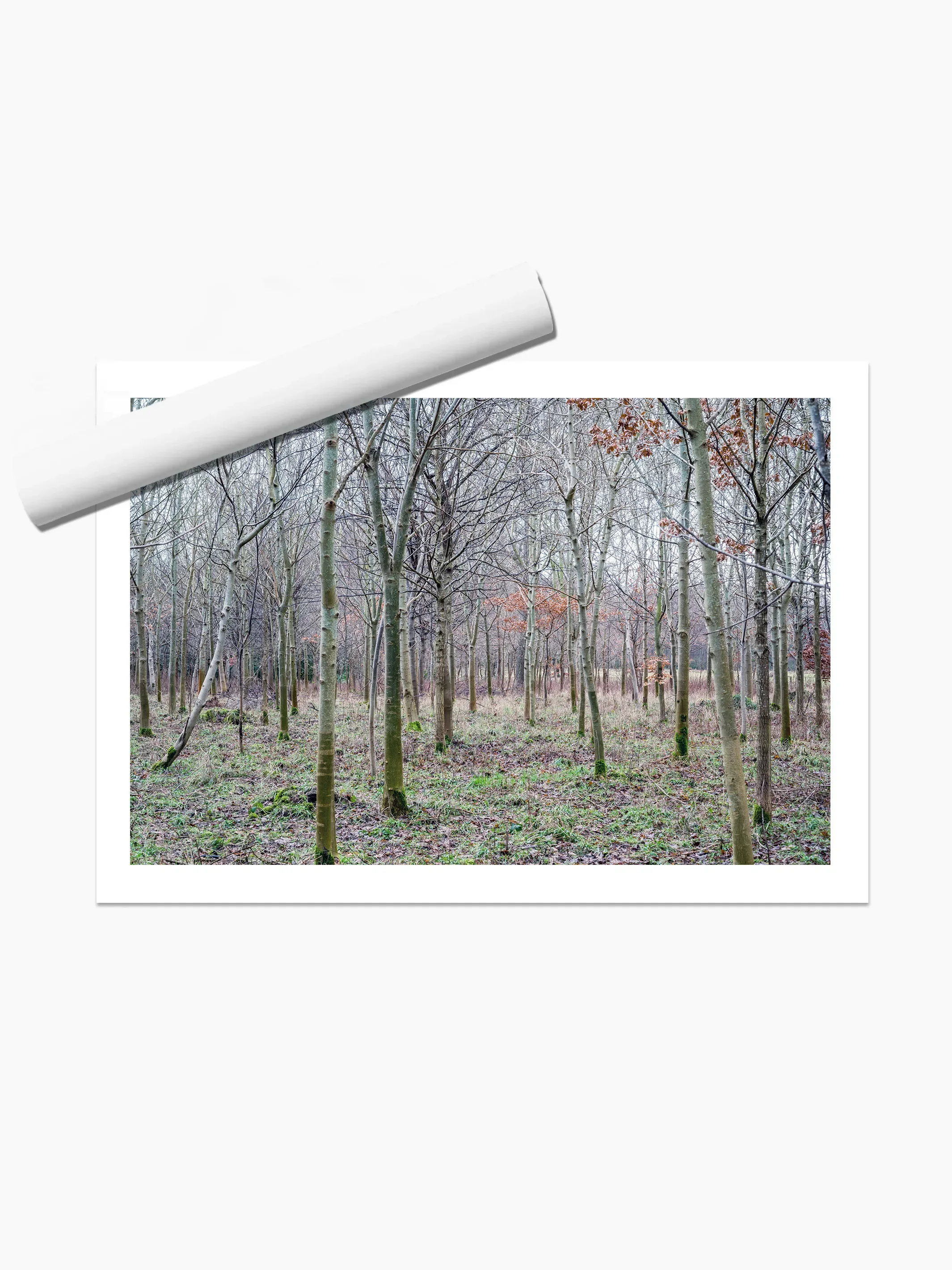 print template copy.webp