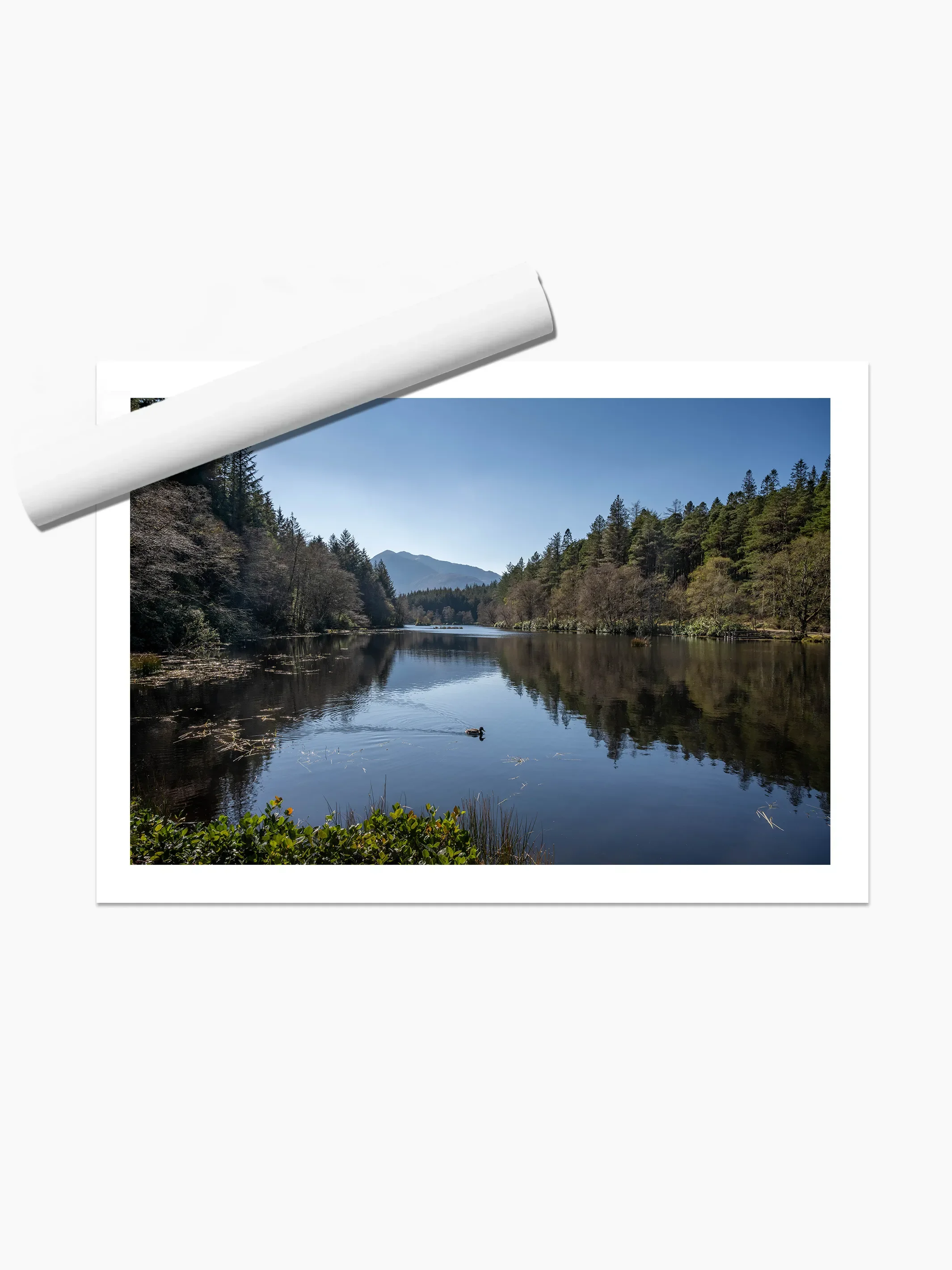 print template copy.webp