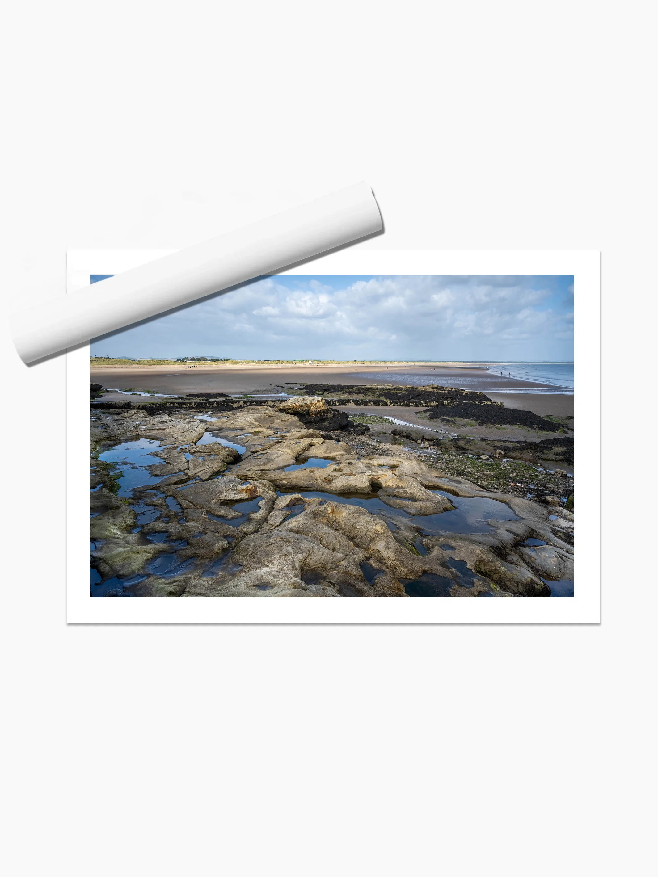 print template copy.webp