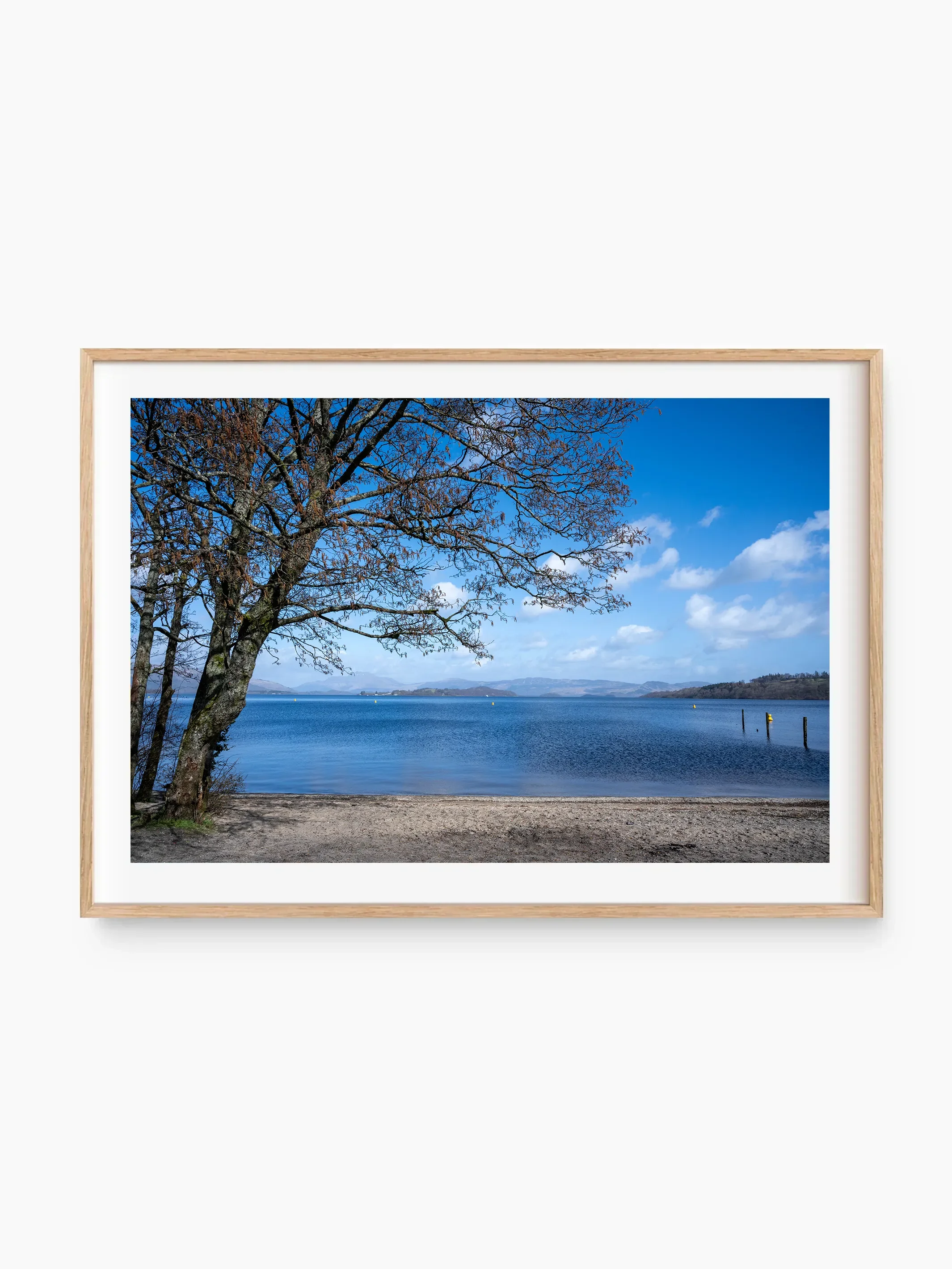 beech_template copy.webp