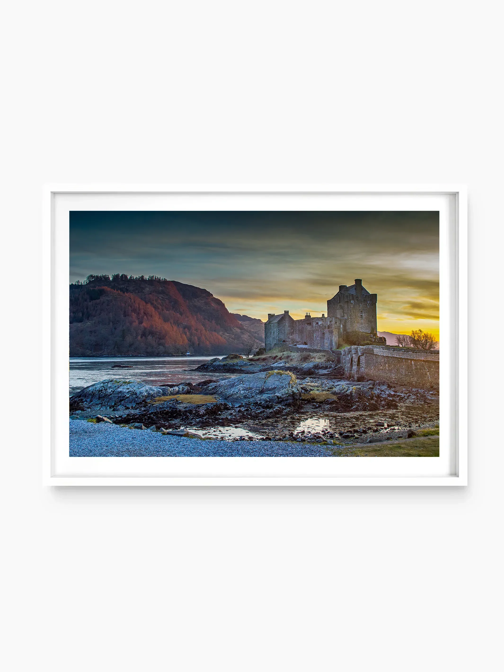 white_template copy.webp