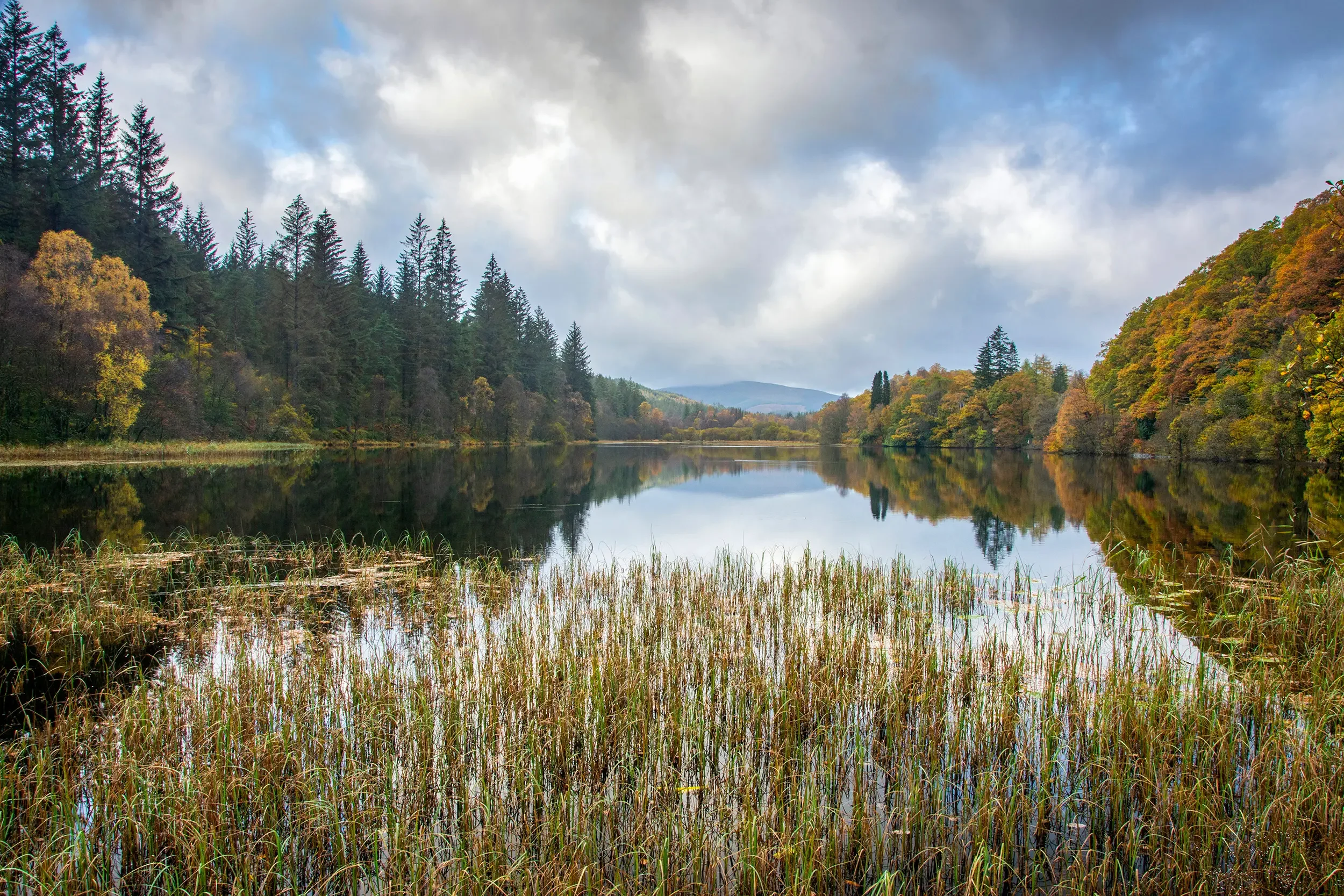Loch Ard, The Trossachs National Park