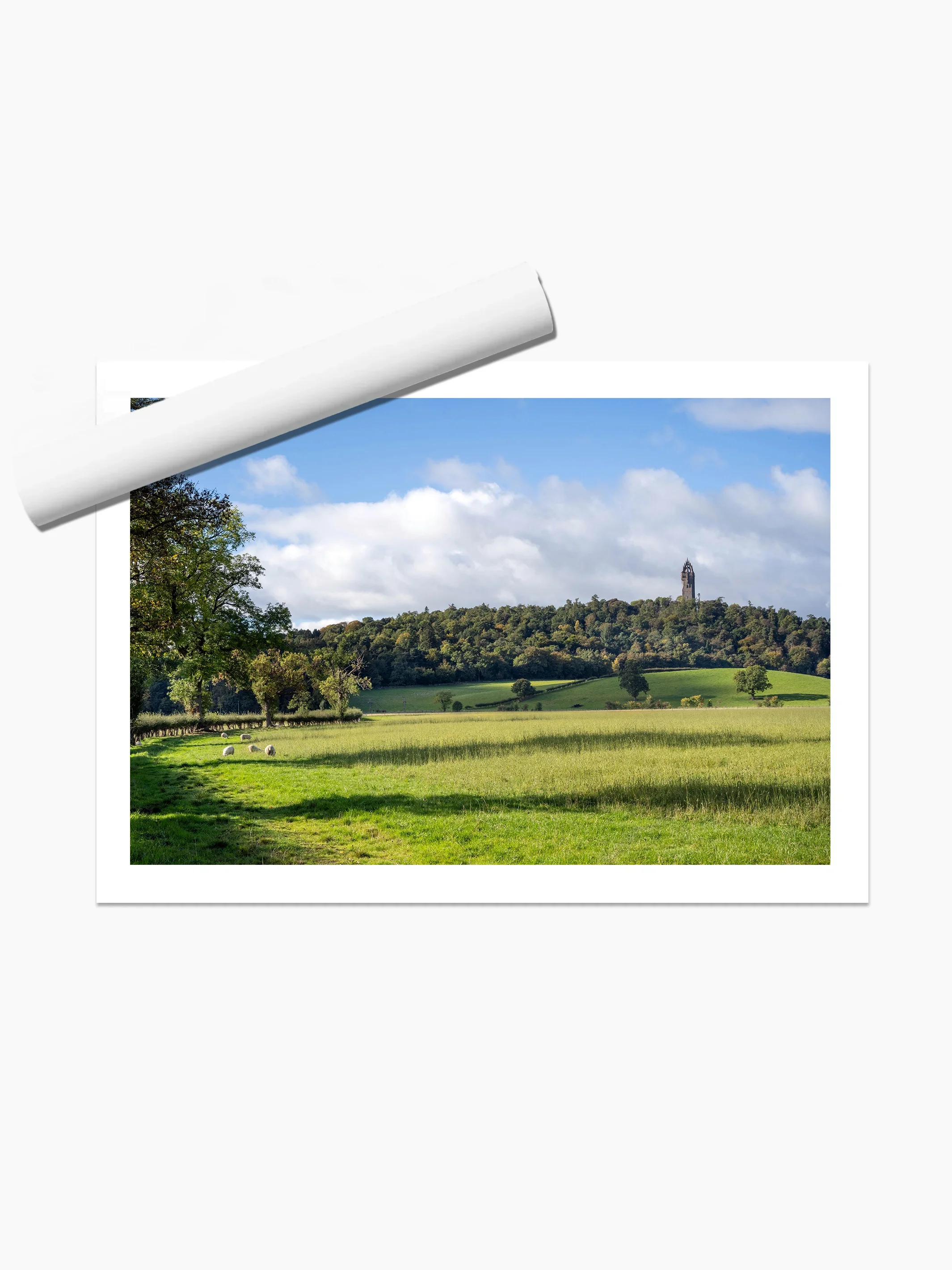 print template copy.webp