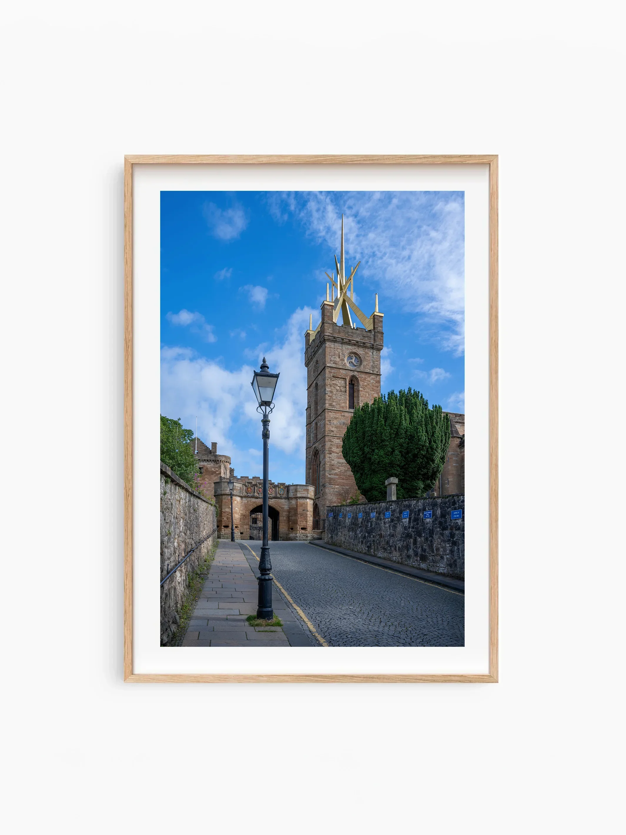 Portrait_Beech_template copy.webp