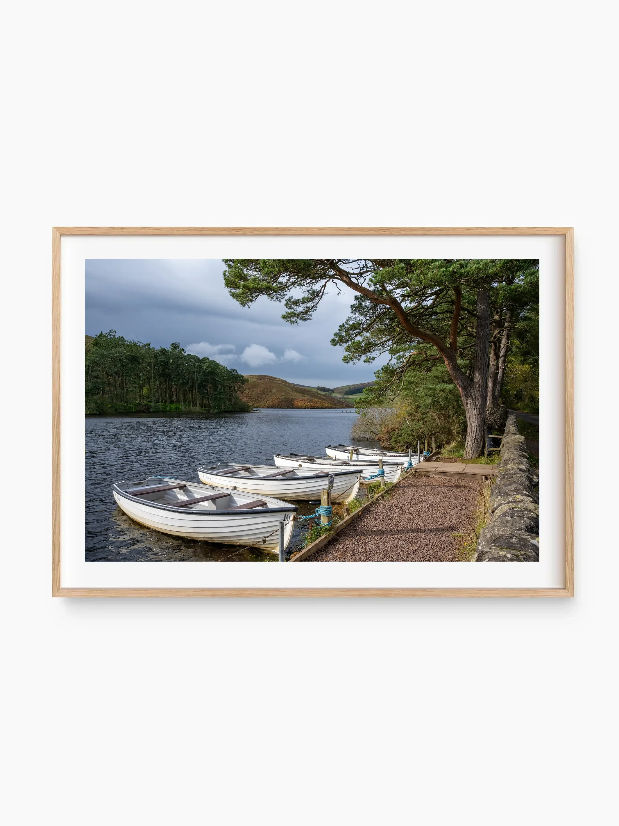 beech_template copy.webp