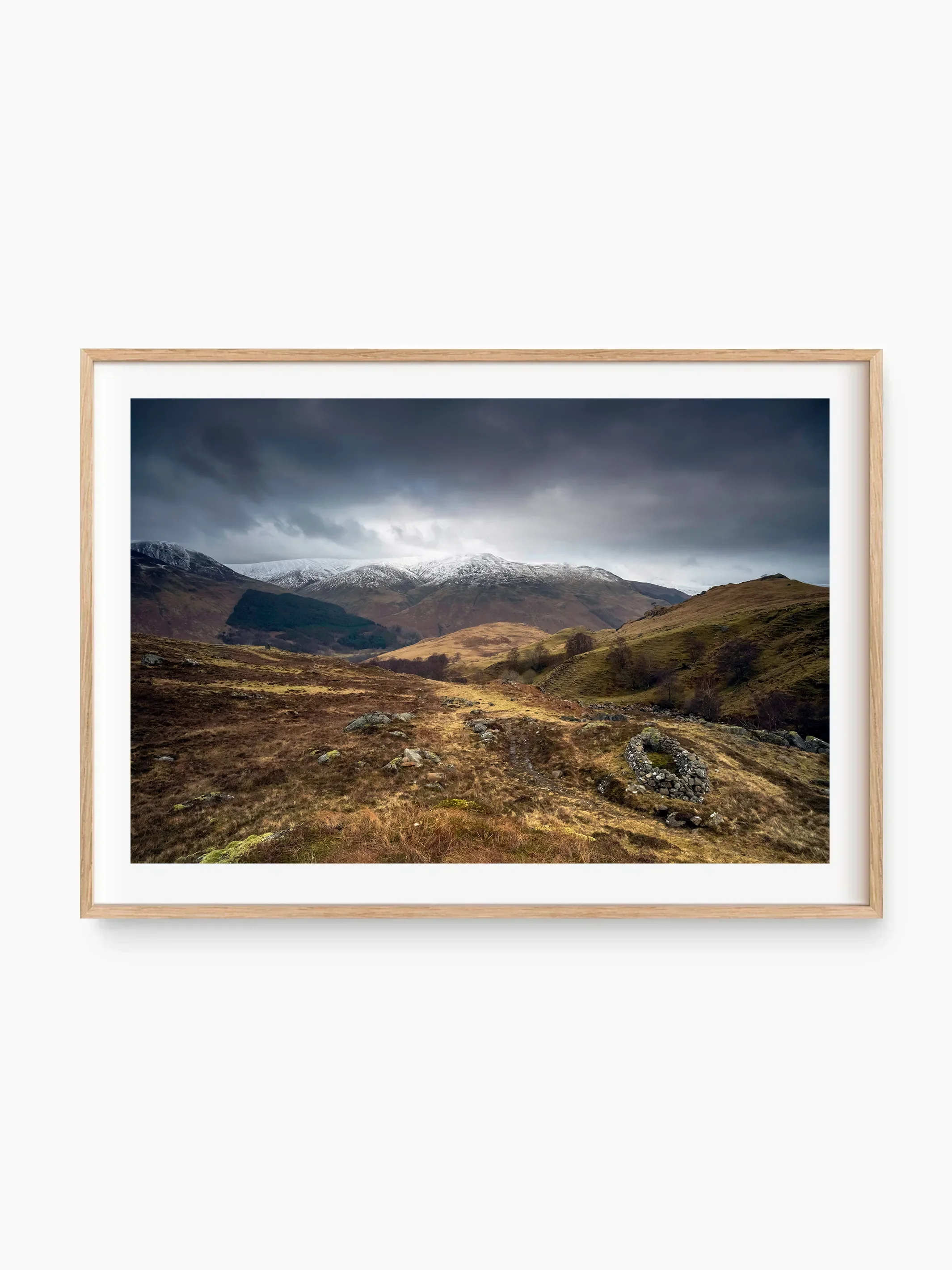 beech_template copy.webp