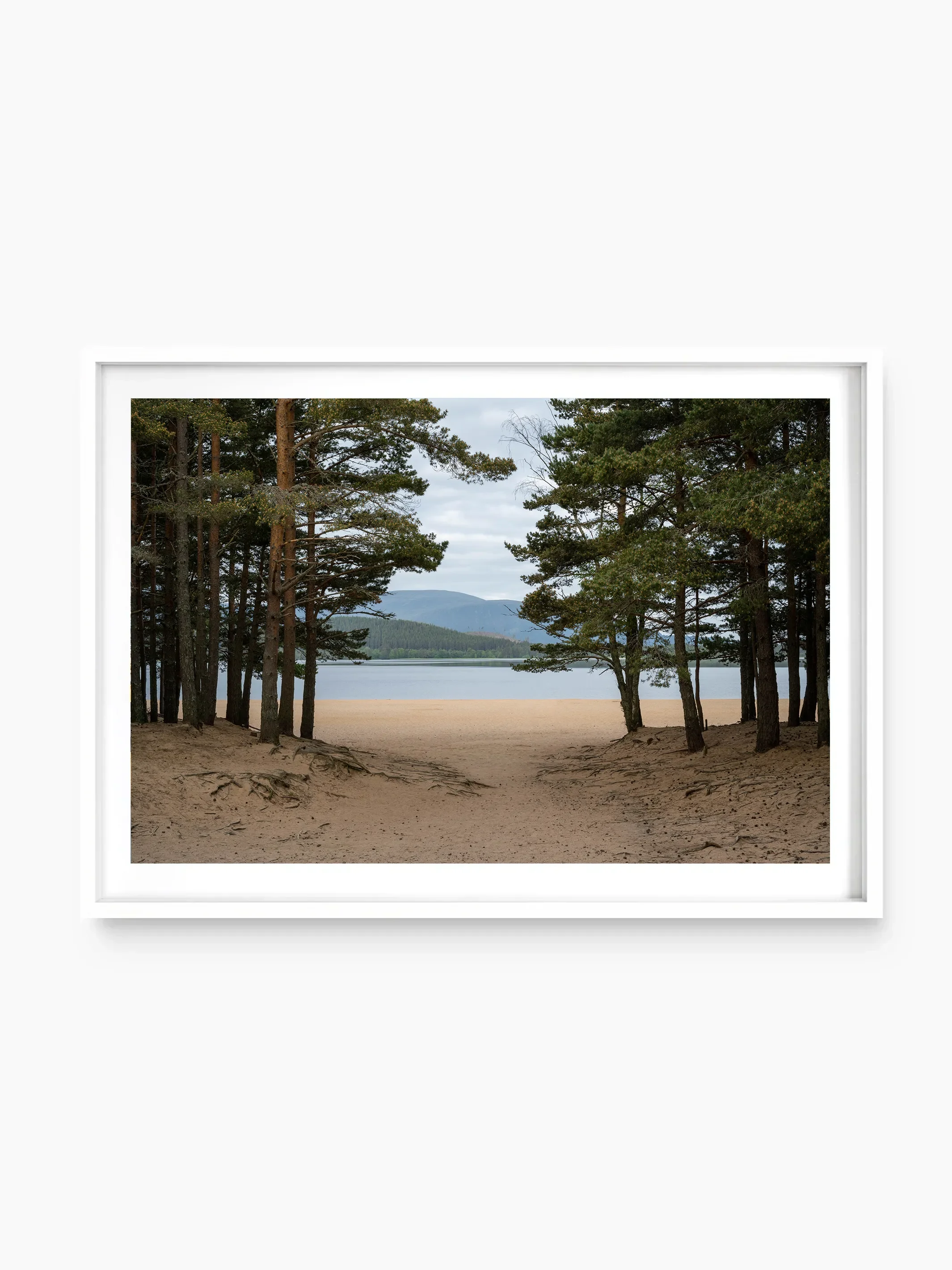 white_template copy.webp