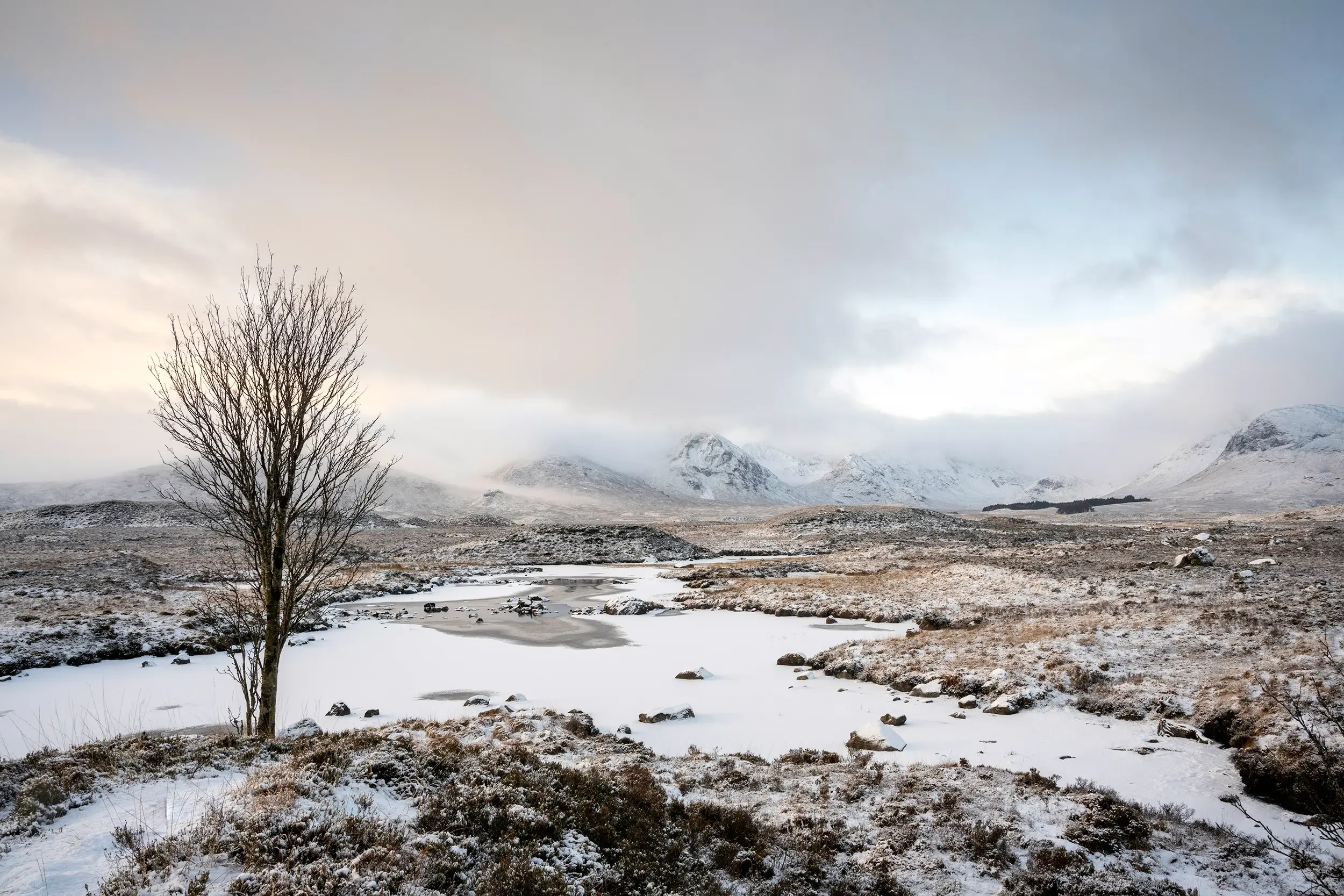 20241122-DSC_5479-Edit copy 2.webp