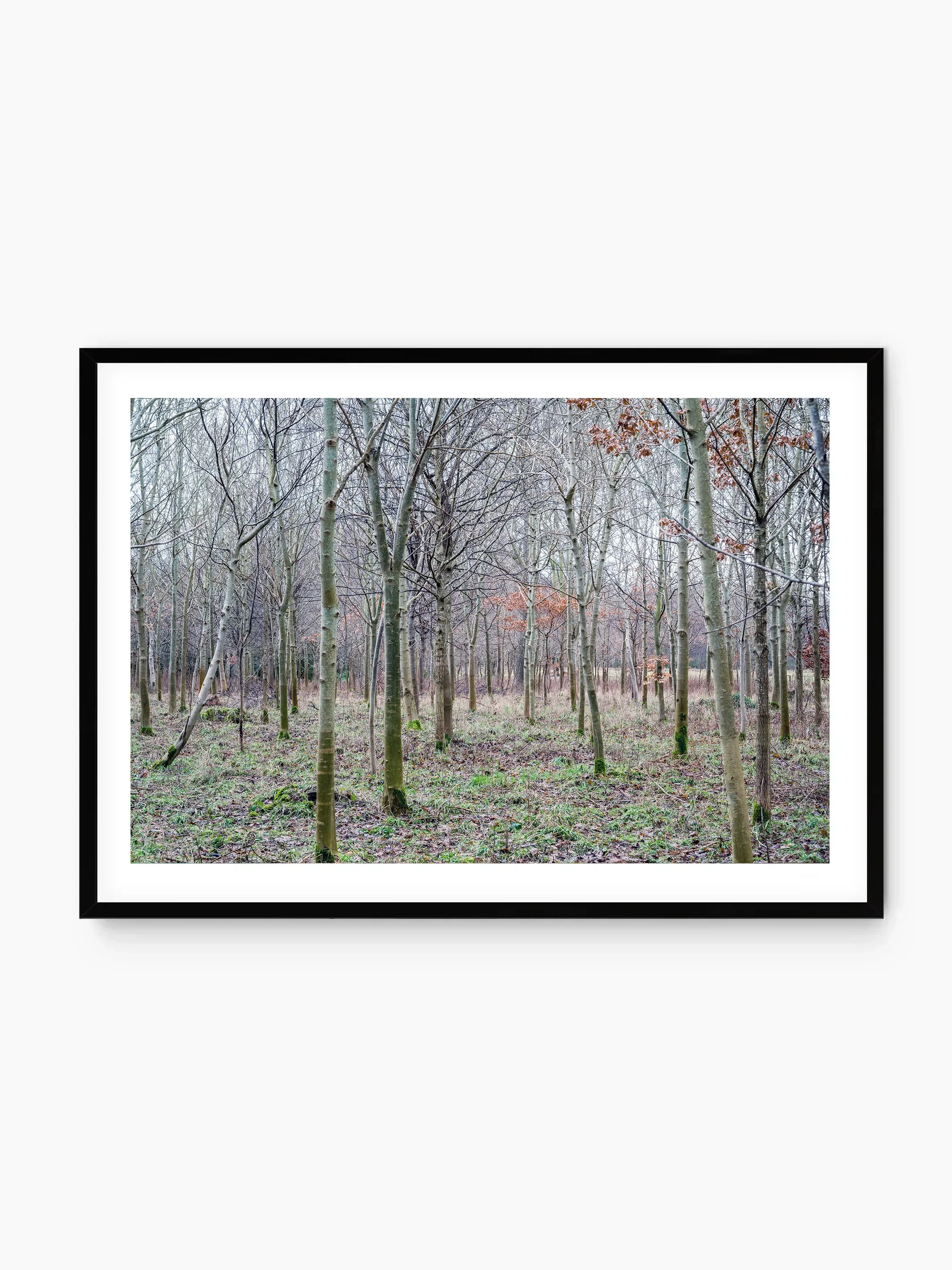 black_template copy.webp