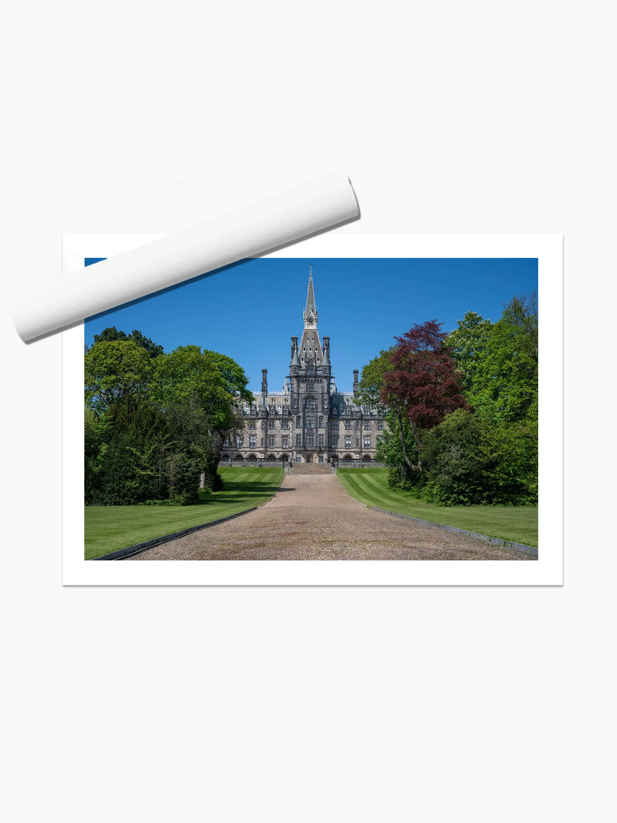print template copy.webp