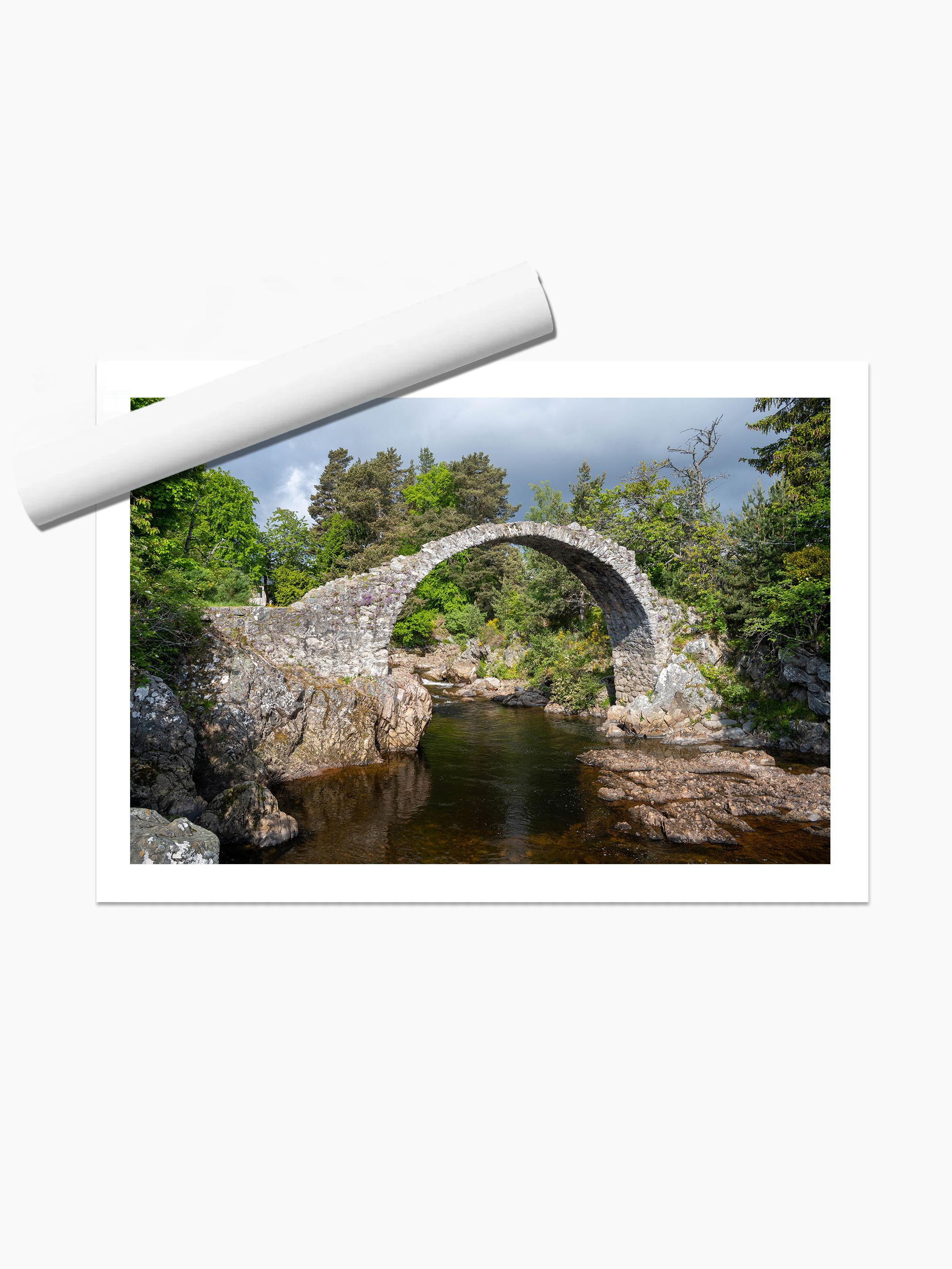 print template copy.png