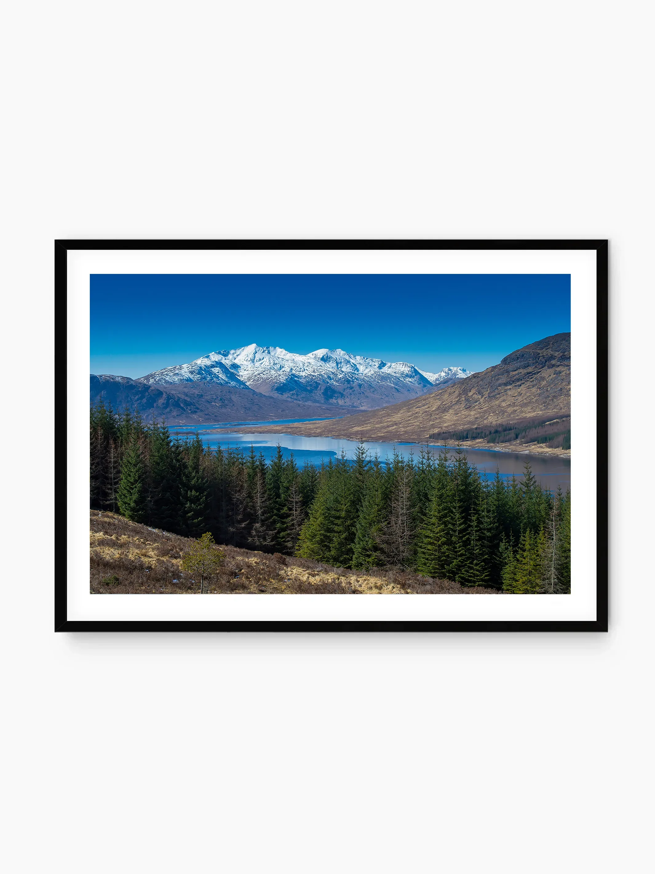 black_template copy.webp