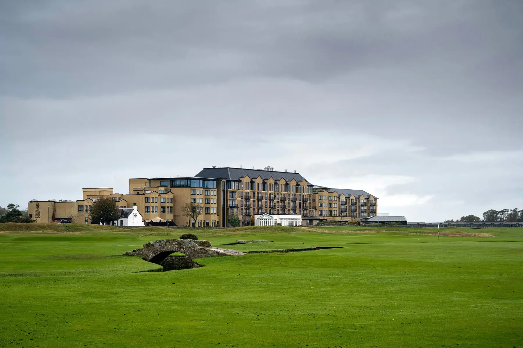 20251021-DSC_9764 copy 2.webp