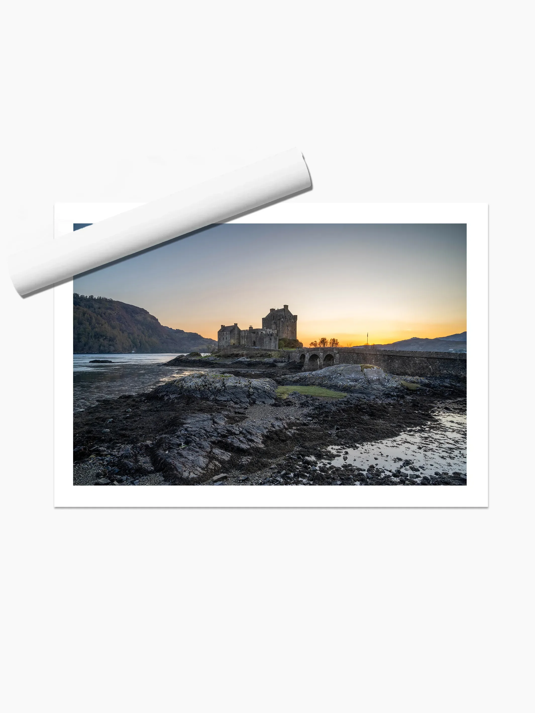 print template copy.webp