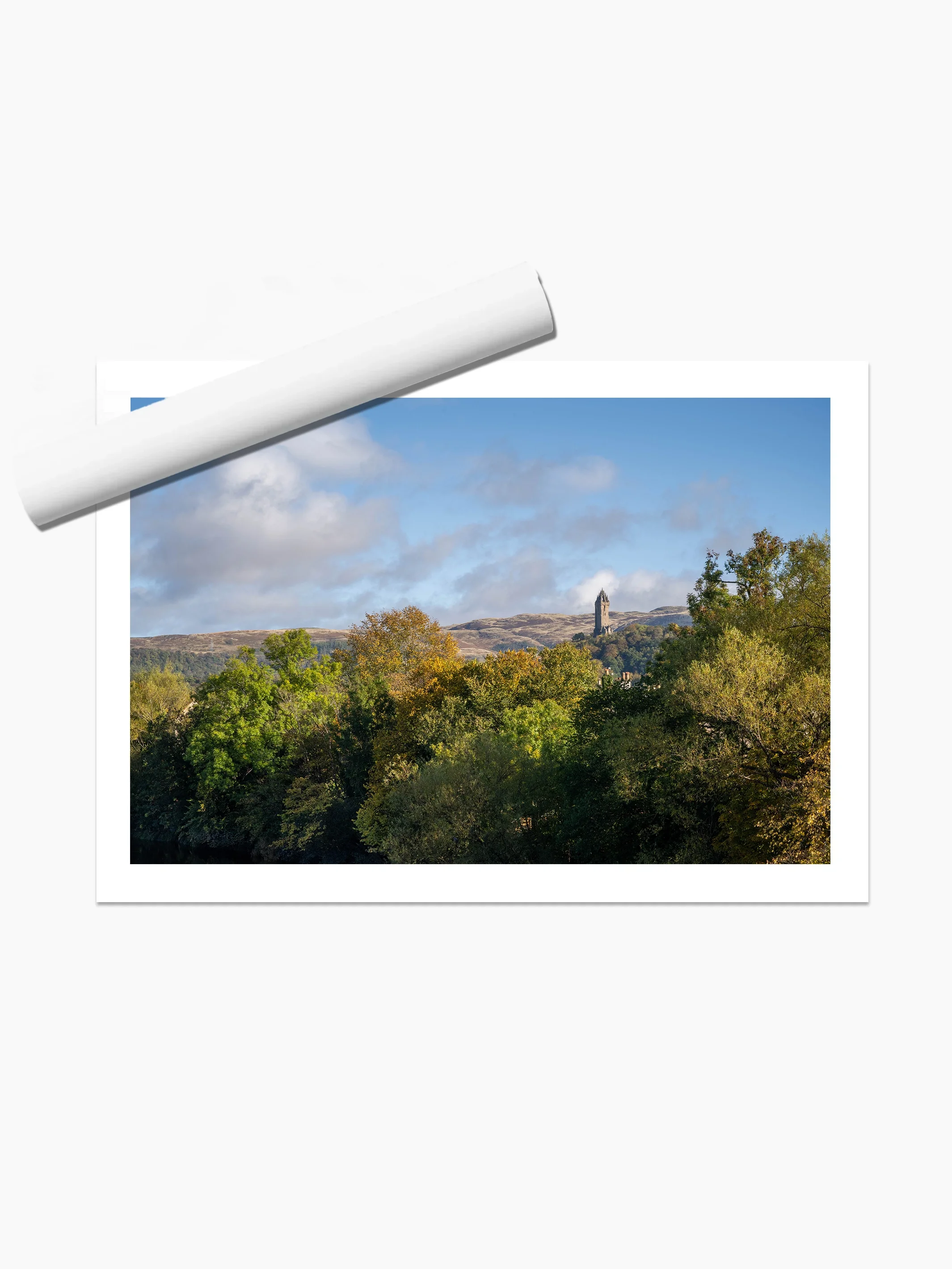 print template copy.webp
