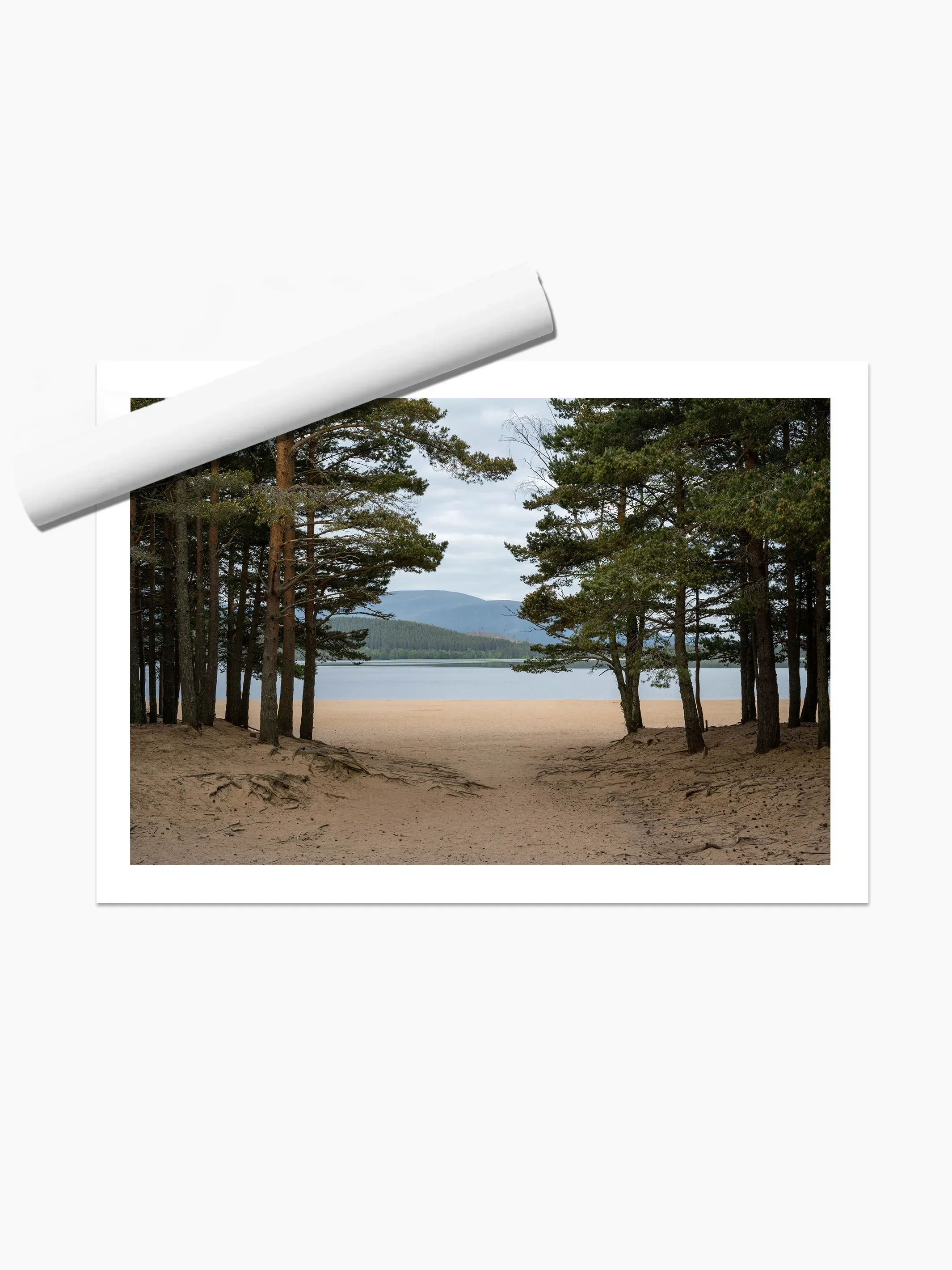 print template copy.webp