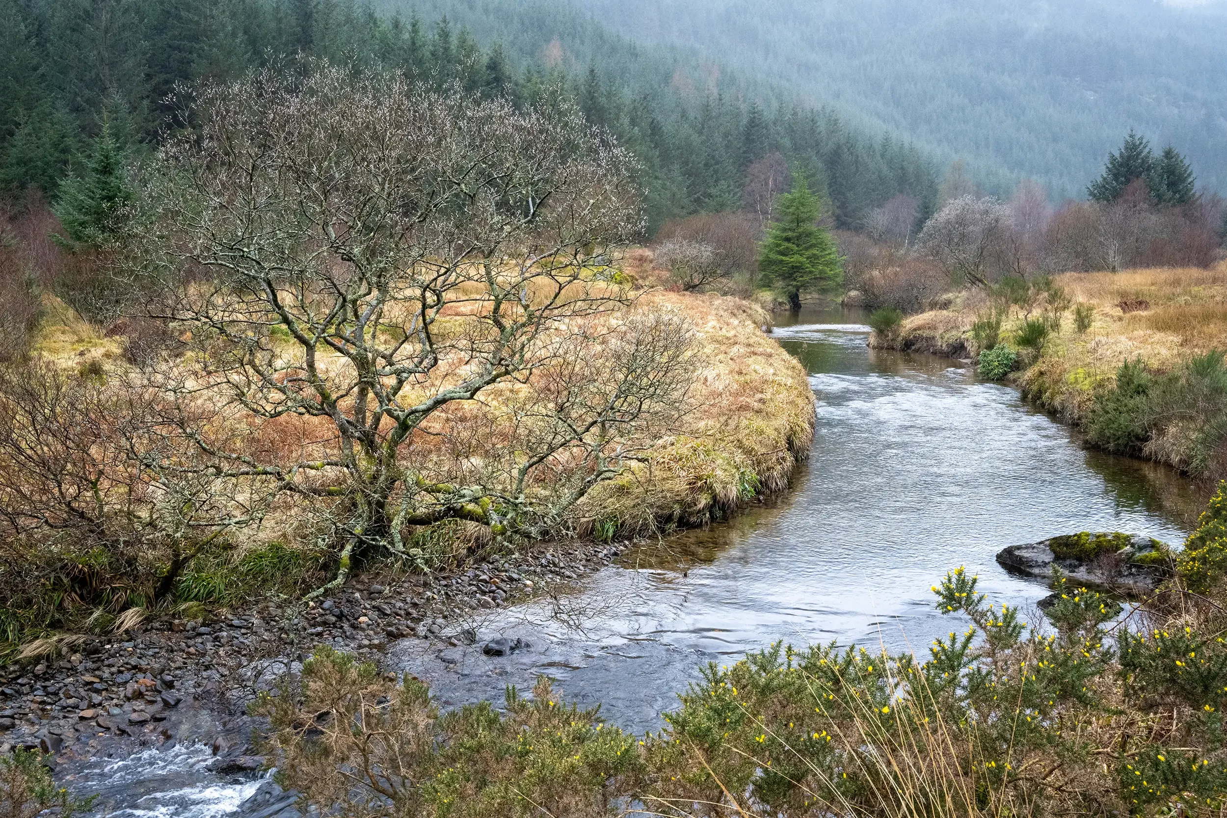 20260326-DSC_0082 copy.webp