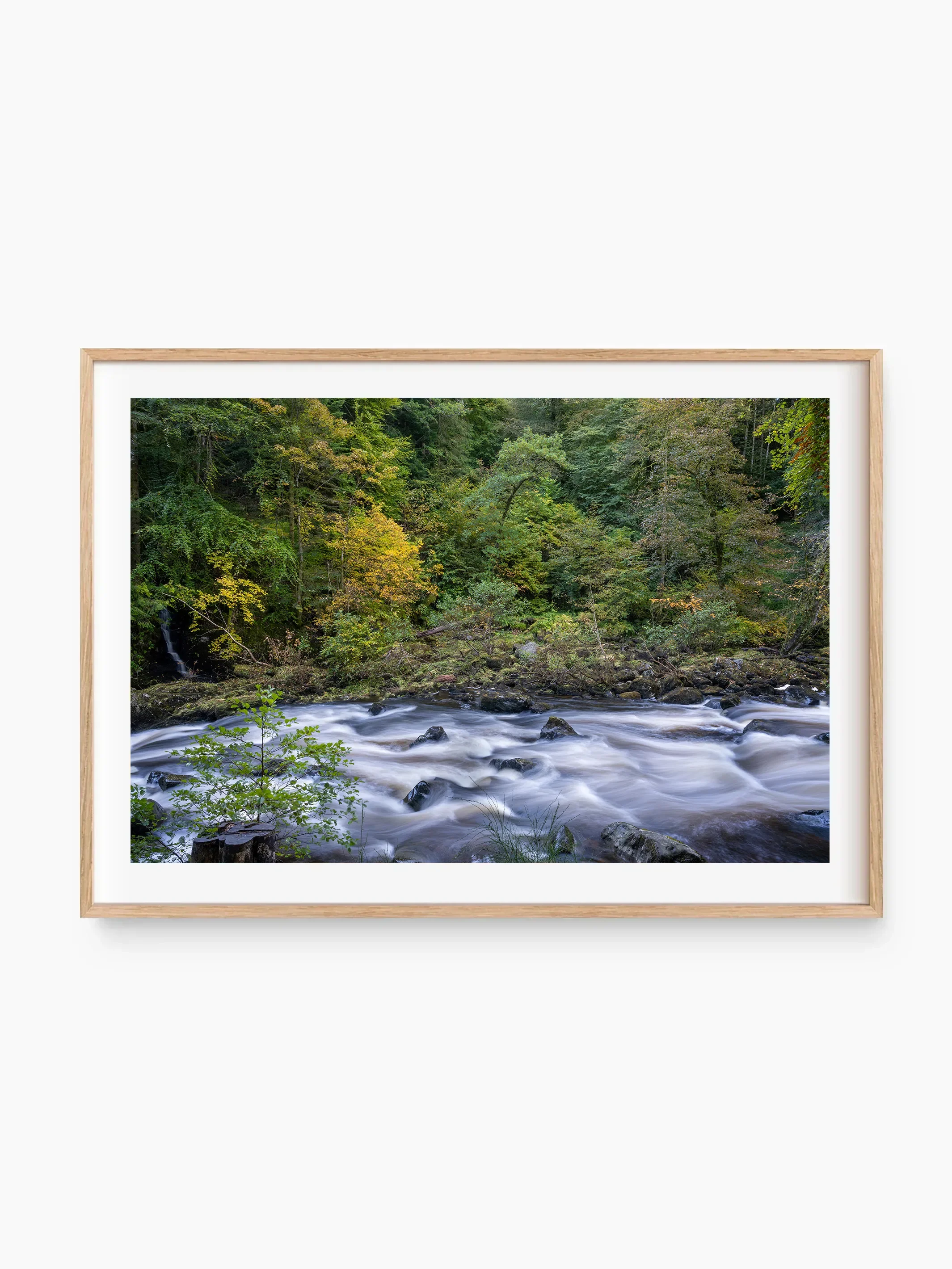 beech_template copy.webp