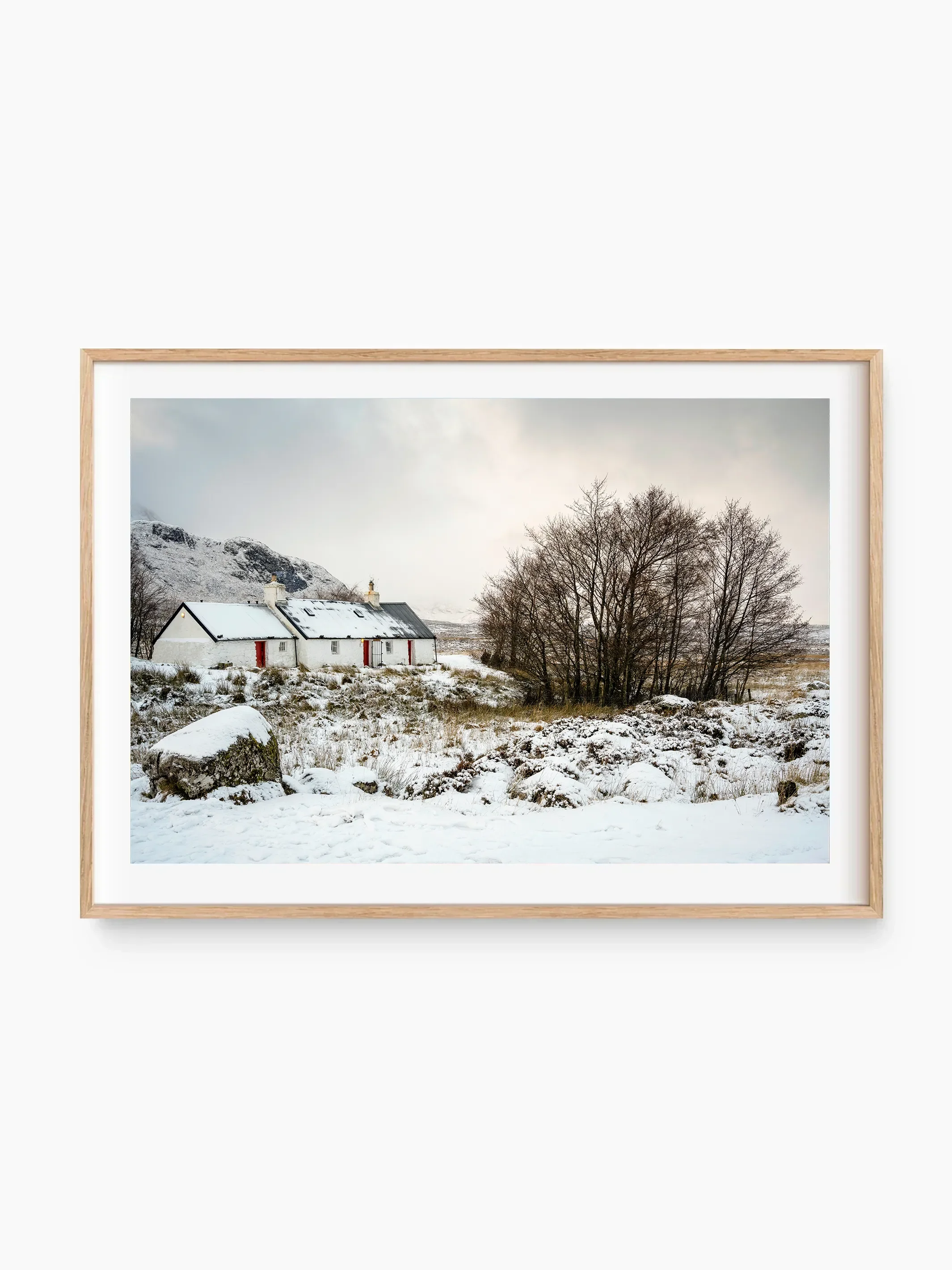 beech_template copy.webp