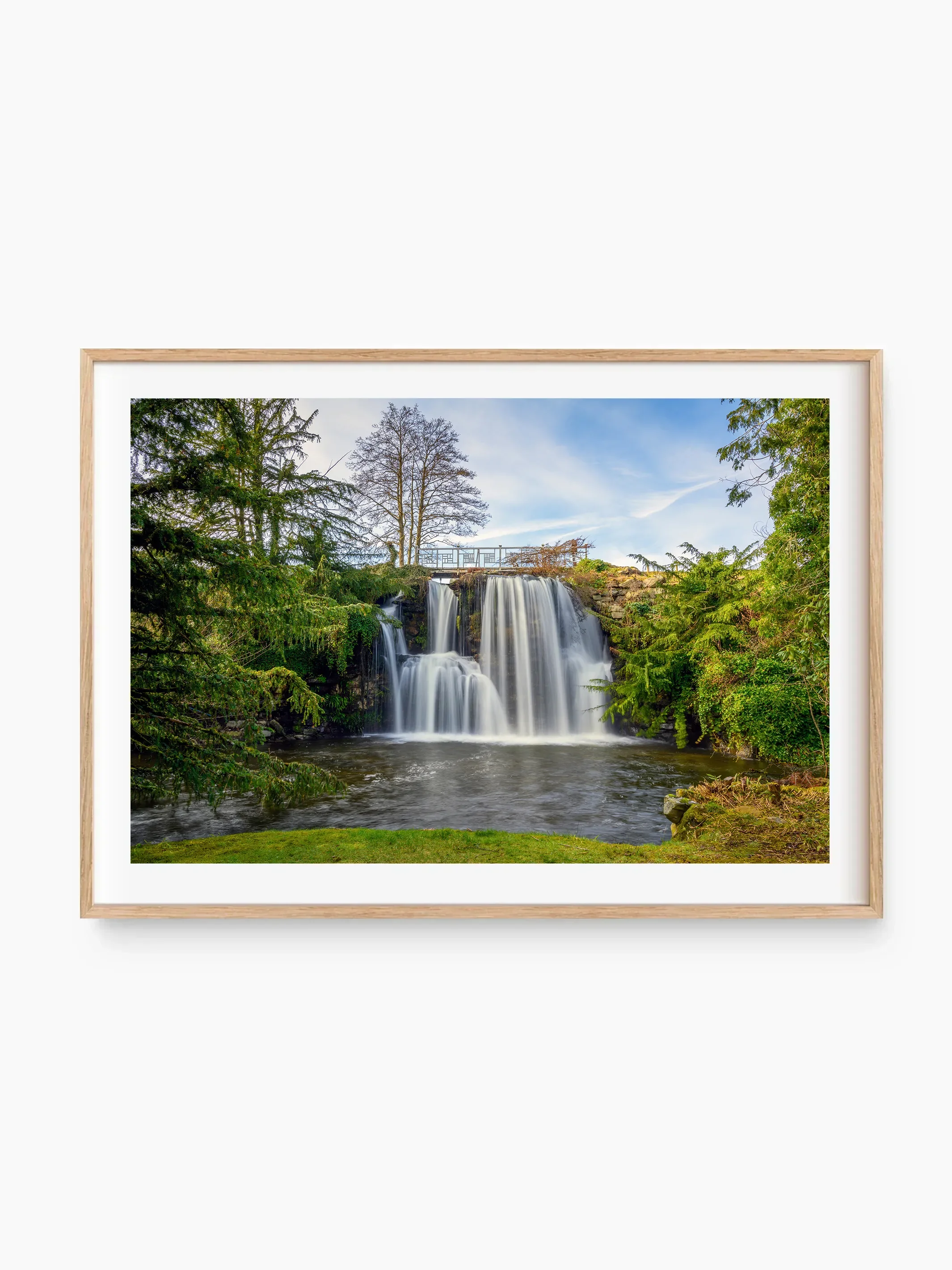 beech_template copy.webp