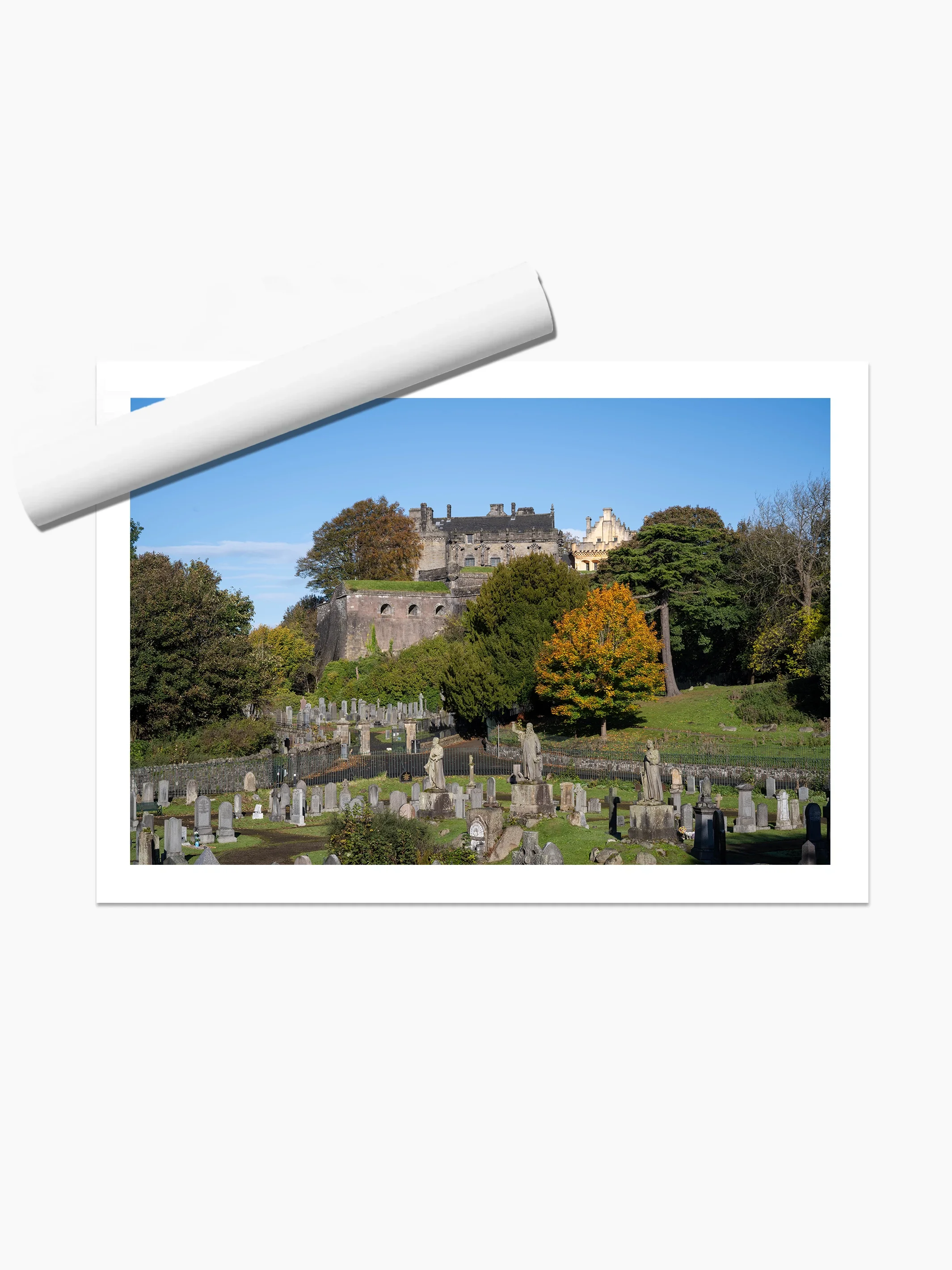 print template copy.webp