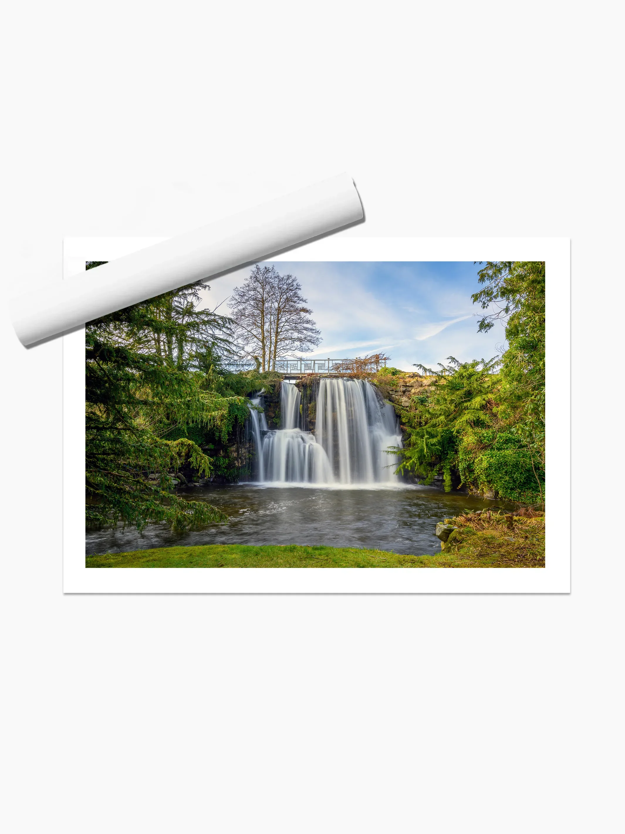 print template copy.webp