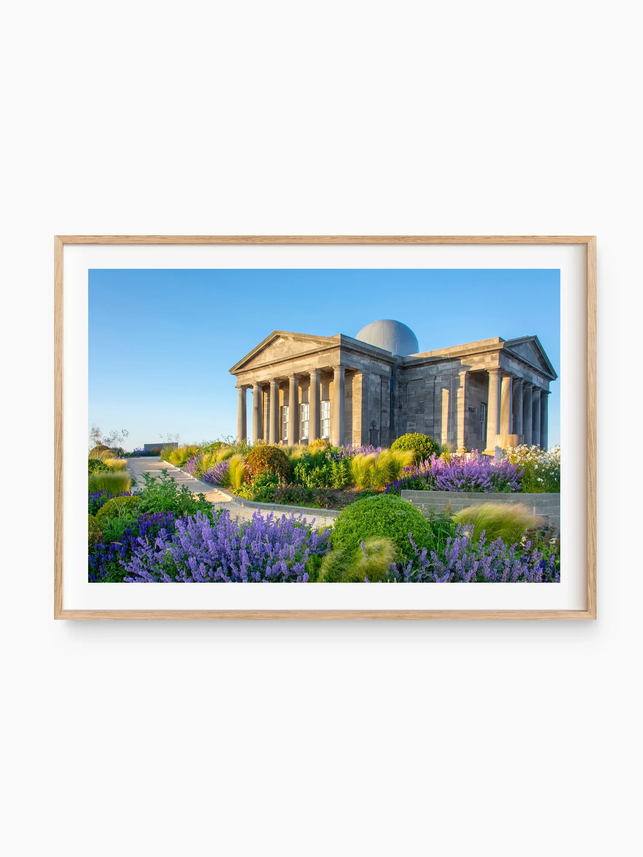 beech_template copy.webp