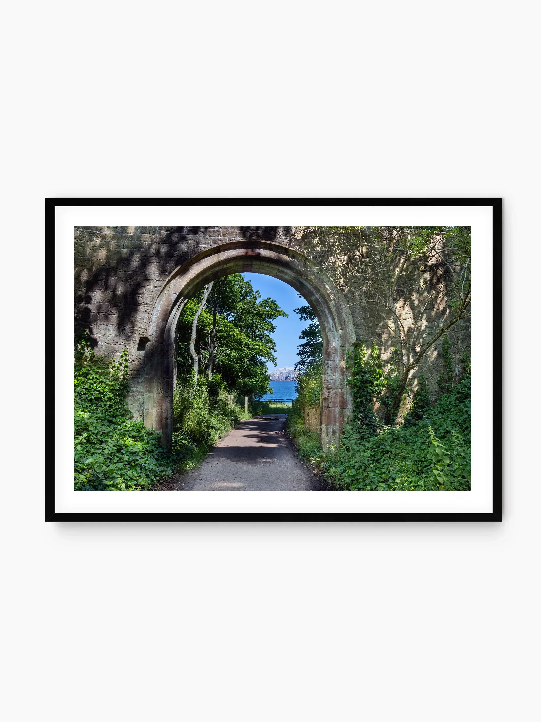 black_template copy 2.webp