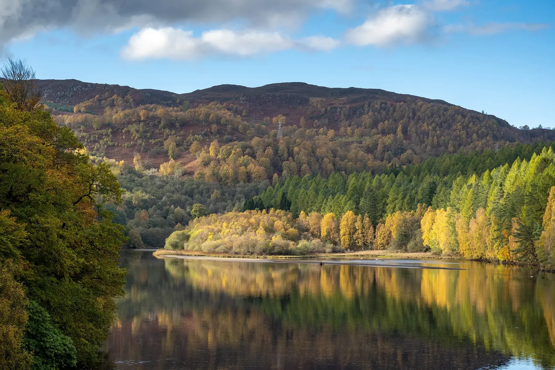 20251020-DSC_9684 copy 2.webp